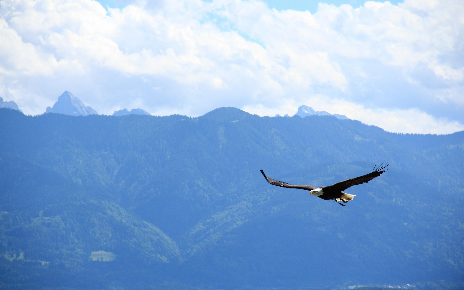 The End of US Market Supremacy? What It Means for Equity Investors