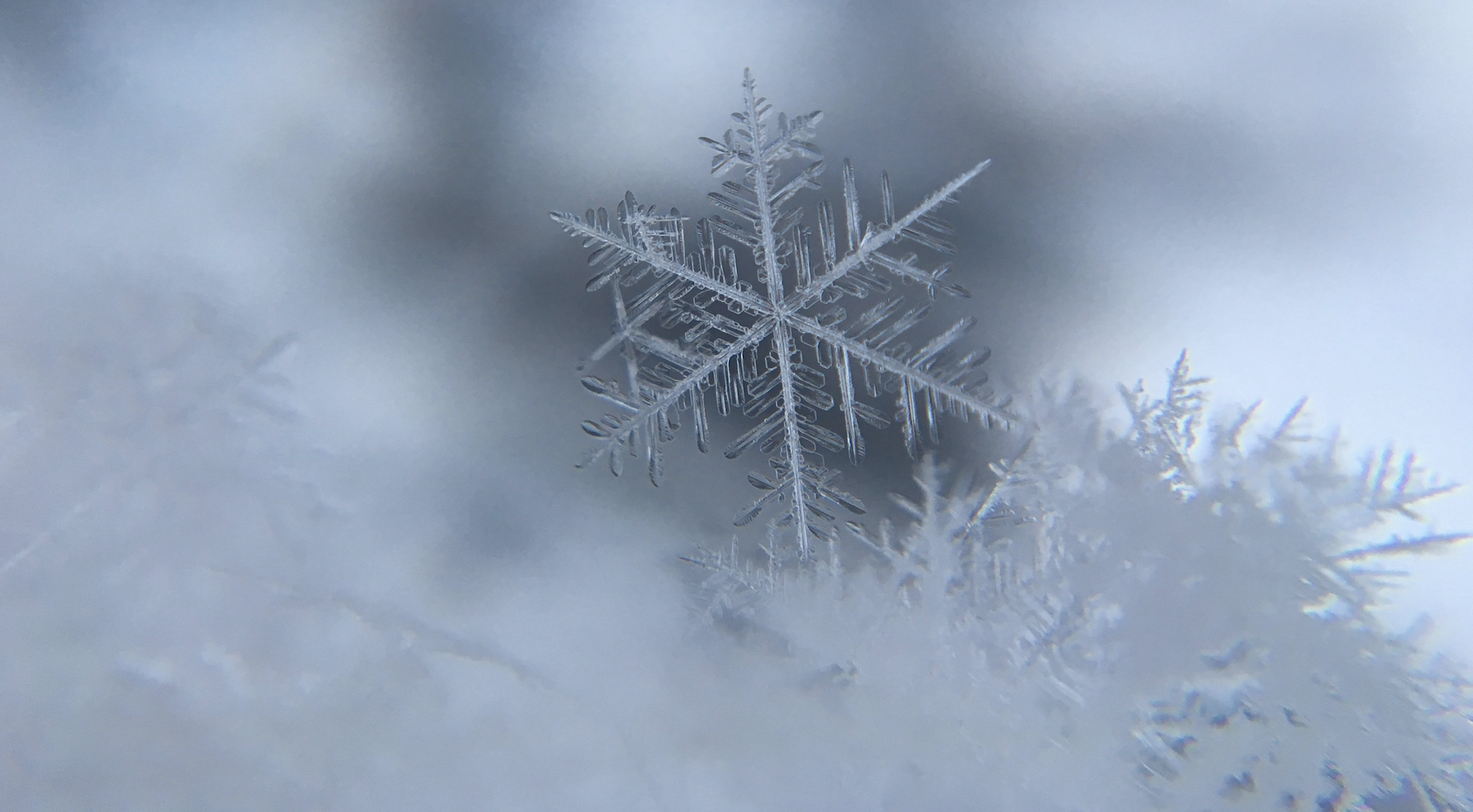 Crypto Winter Calls for Protected Bitcoin Exposure