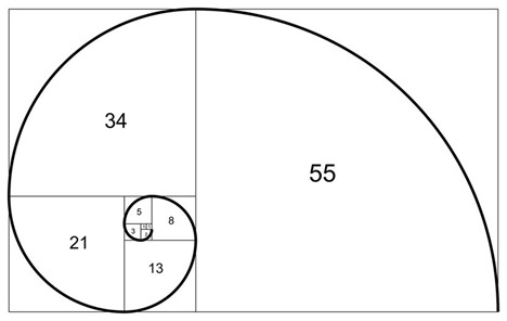 fibonacci ratios