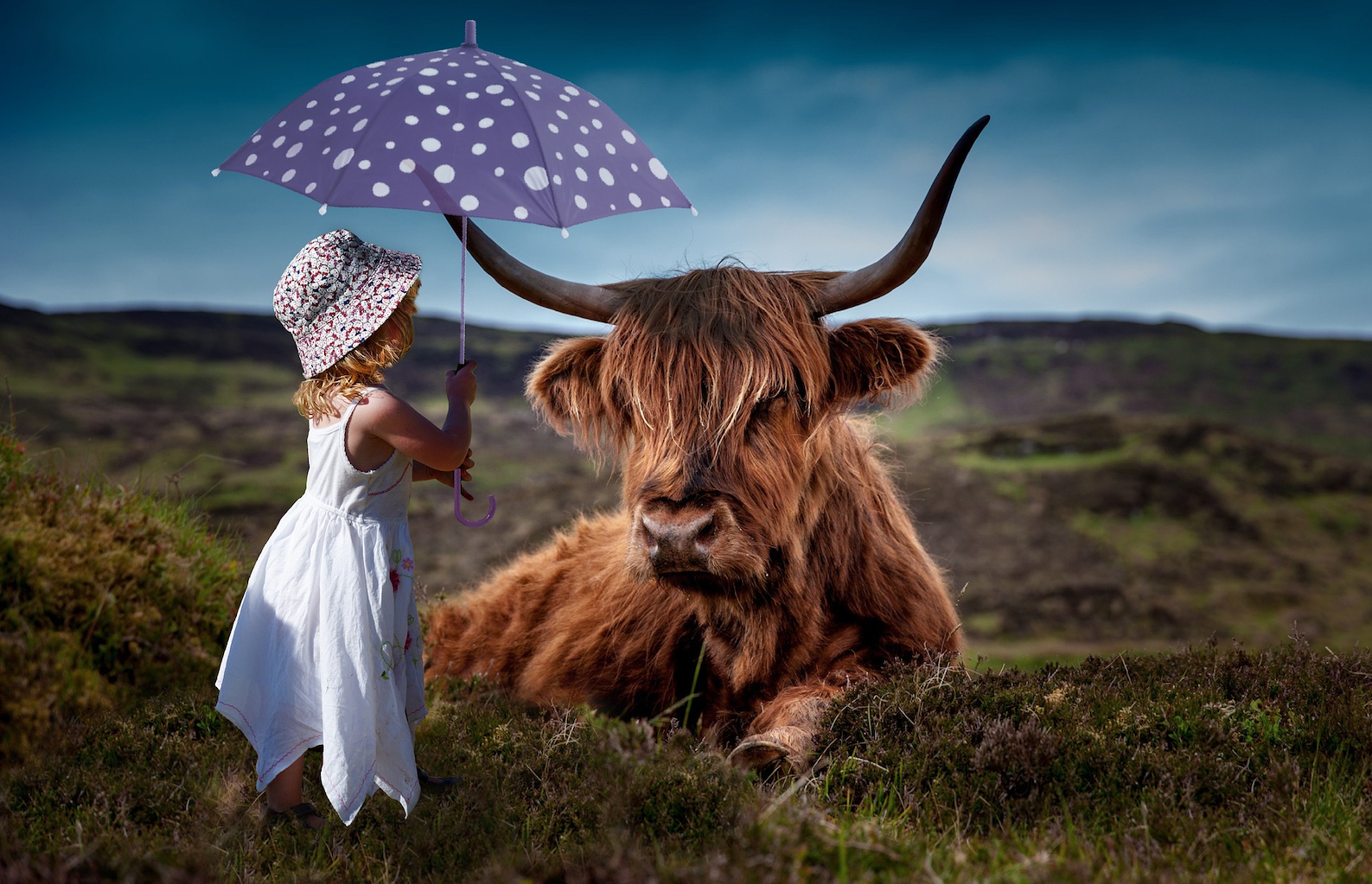 Breaking Barriers: Overcoming Sacred Cows in Financial Services Growth