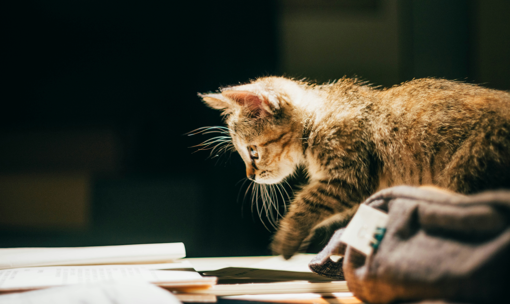 11 Most Read Articles of the Week