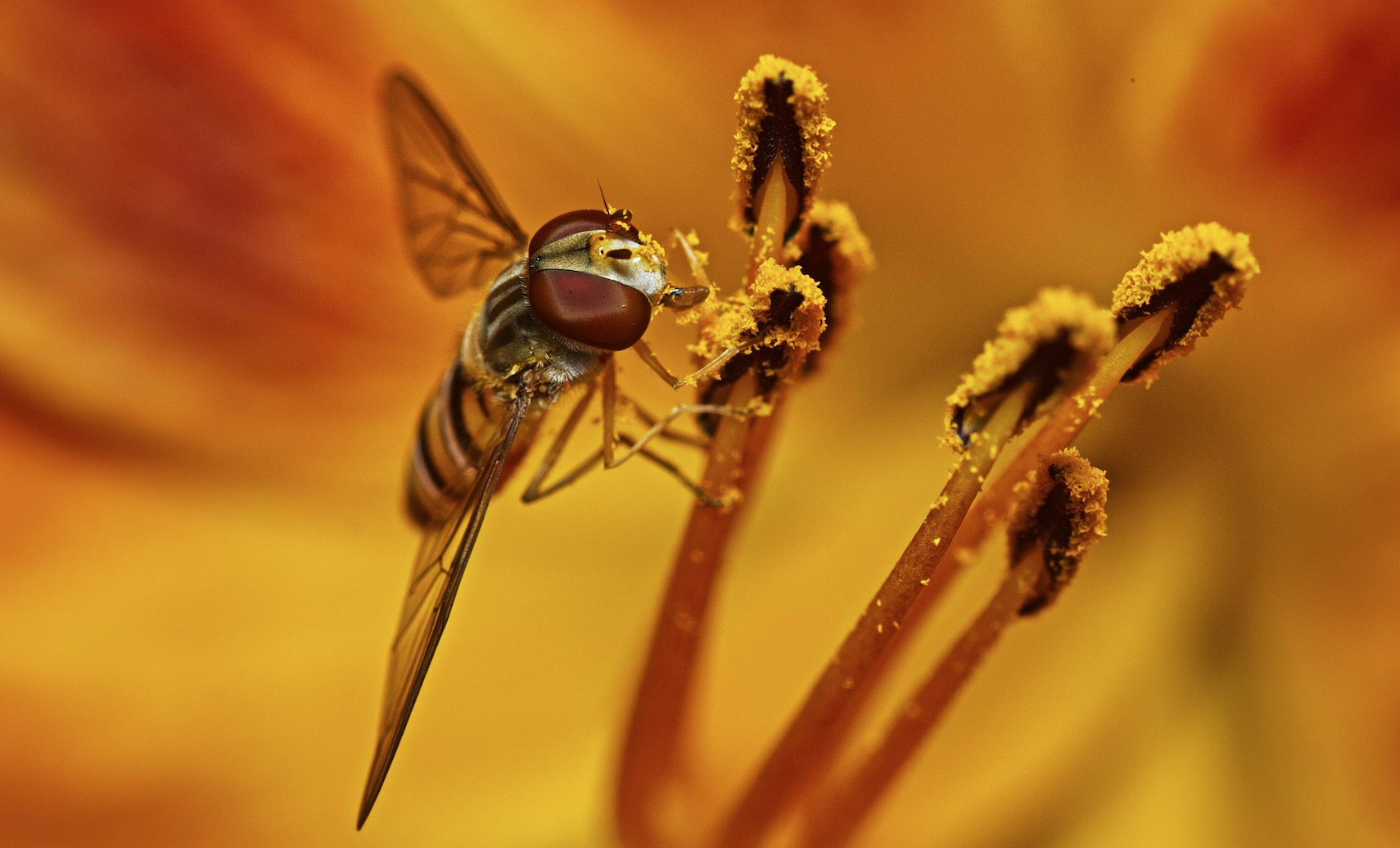 Progress Looks Like Pollen