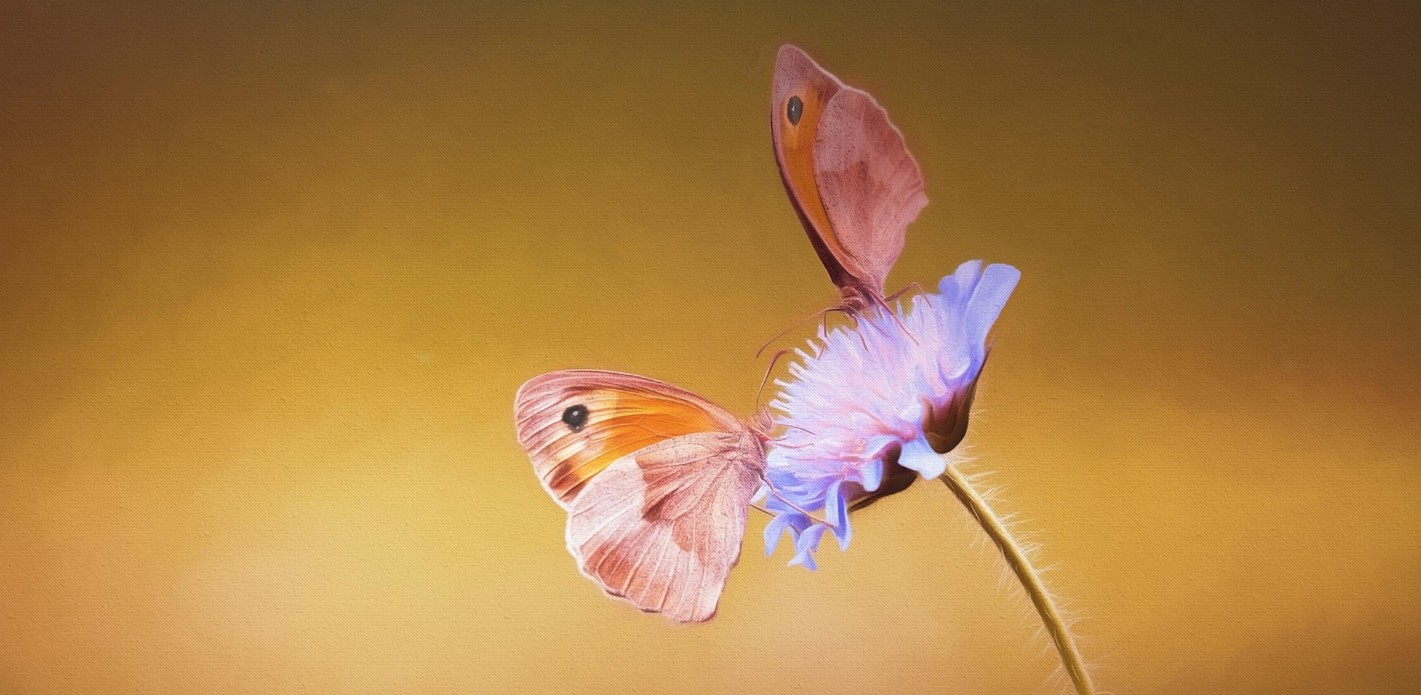 Growth and Value: Why You Don’t Have to Choose