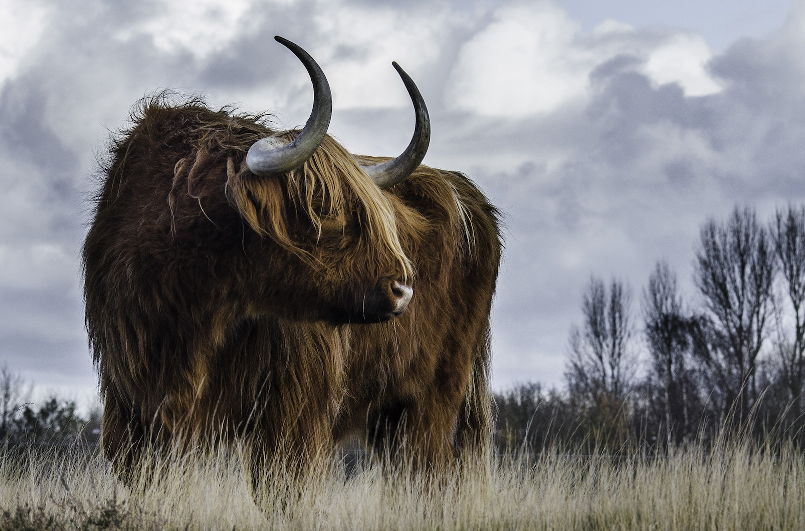 The Irony of Being Called a “Permabull” After Years of Warning on Valuations