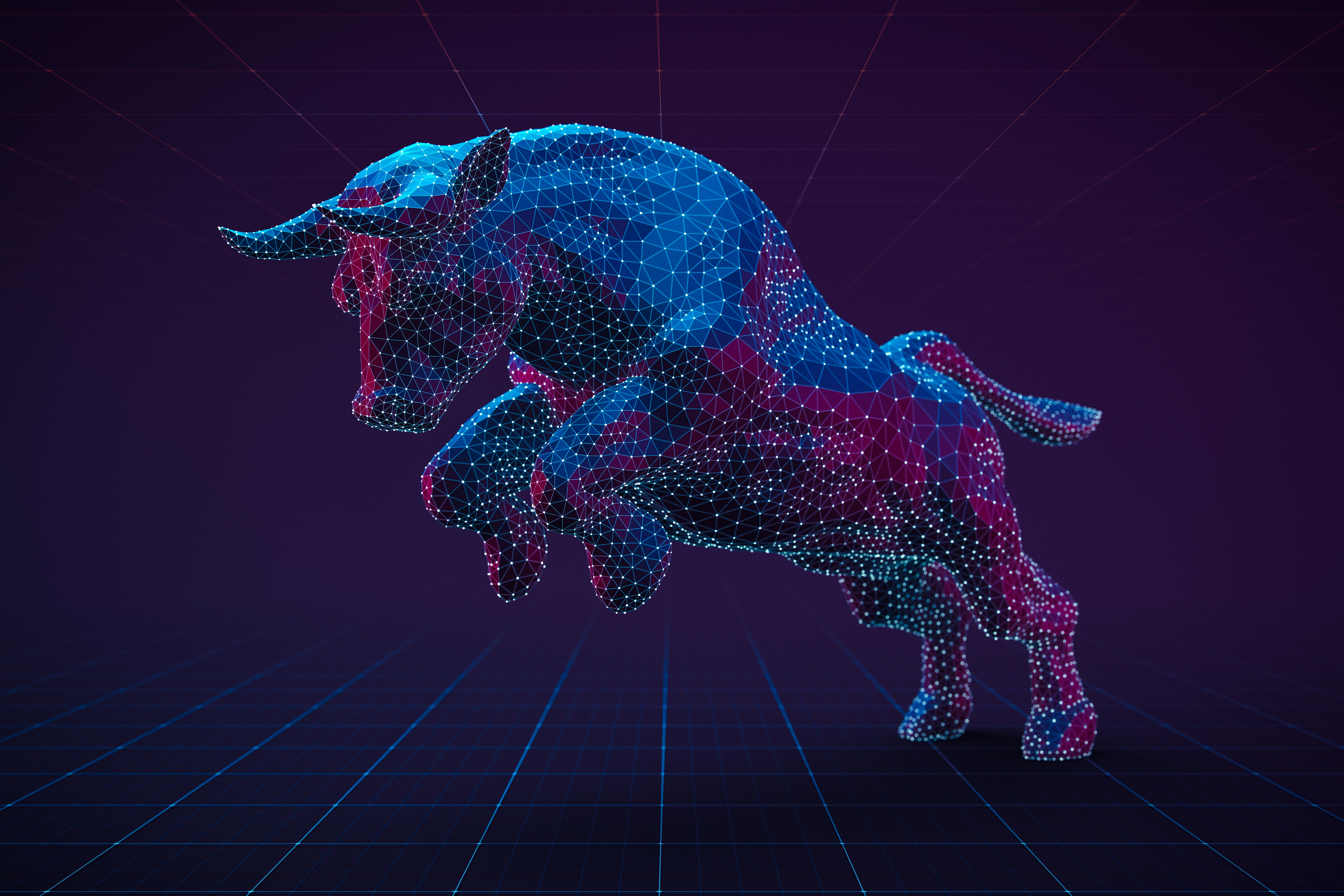 The Market Makes No Sense—So Why Are Advisors Getting More Bullish?