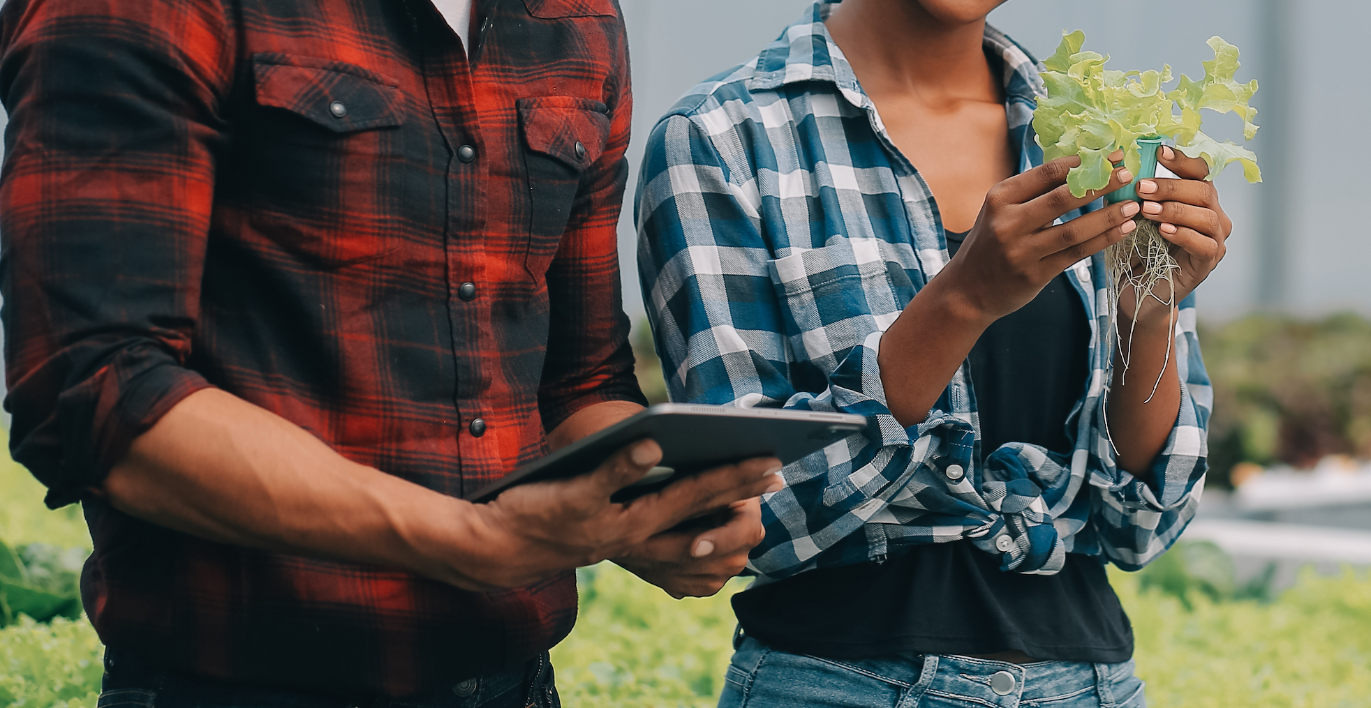 Tariffs and Food Innovation: A Surprising Opportunity for Investors