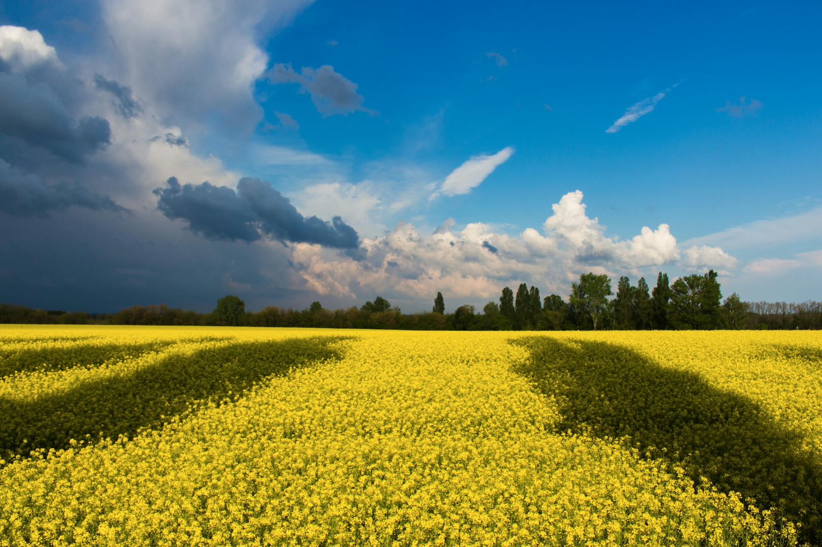 Guiding Clients Through a Summer of Market Turbulence