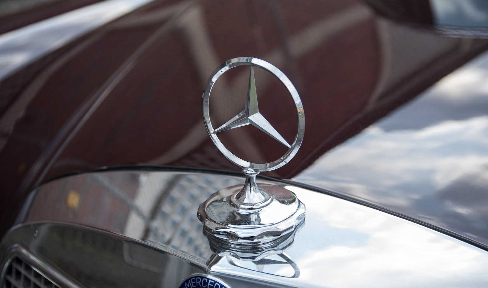 How the Most Loved Brands Build Loyalty, Culture, and Growth That Lasts