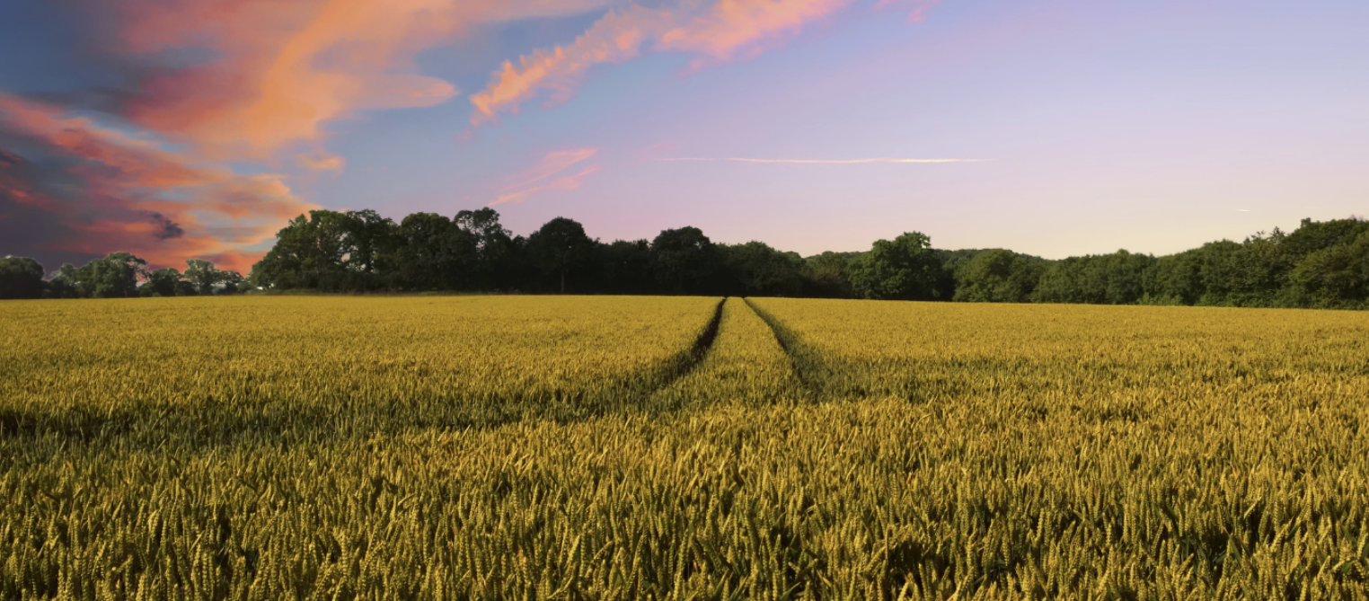 Farming vs. Hunting: How Advisors Can Actively ‘Farm’ For Predictable Referrals