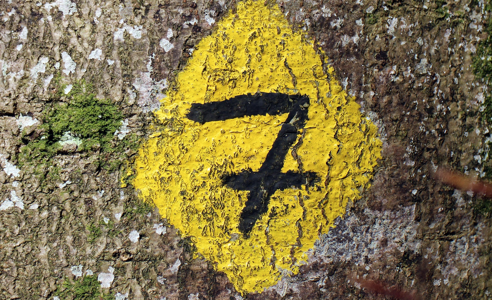 7 Questions That Separate Average and Elite Financial Advisors—Is Your Coach Asking Them?