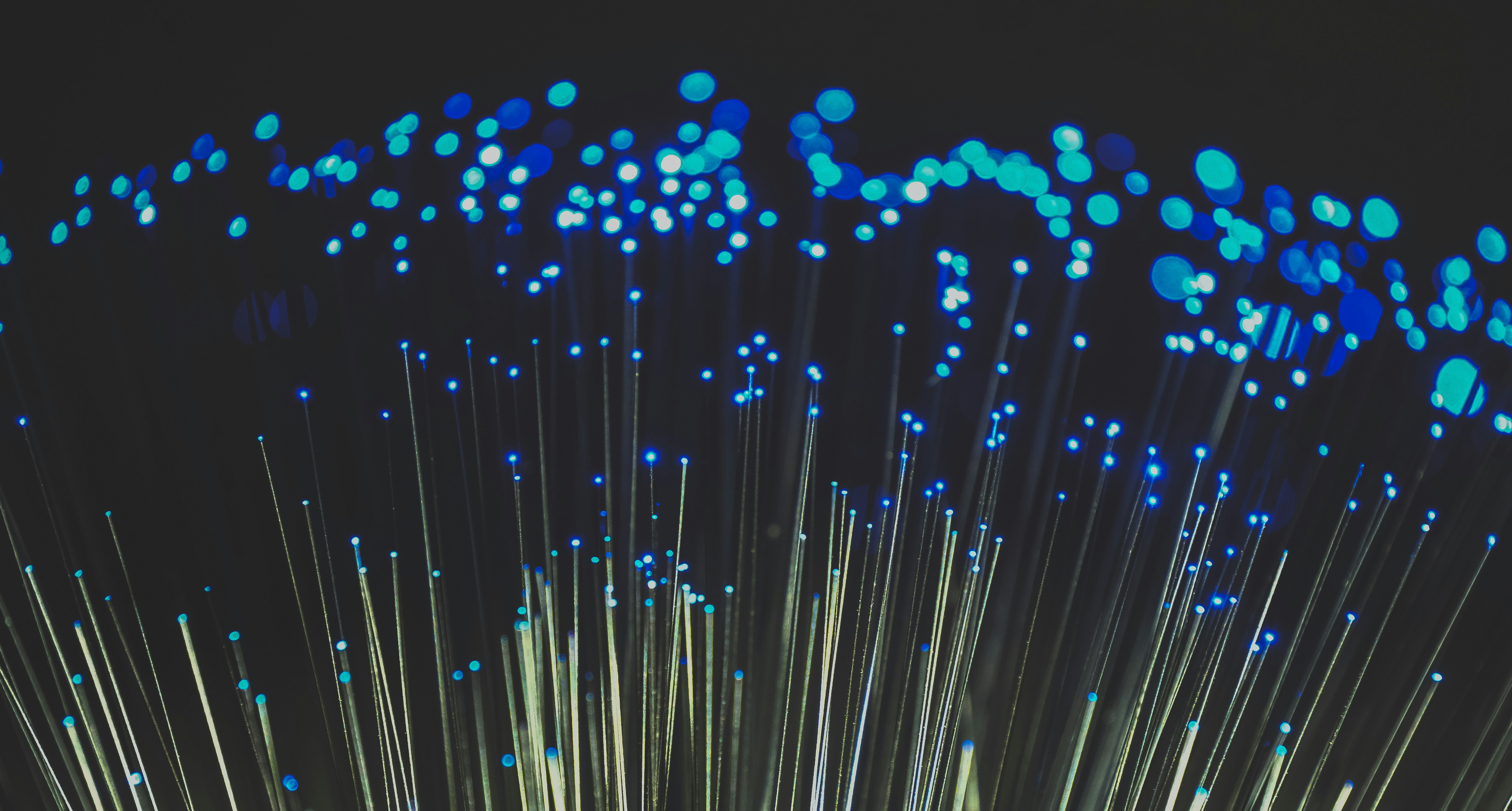 New Highs, New Risks: What’s Driving Today’s AI Stock Surge