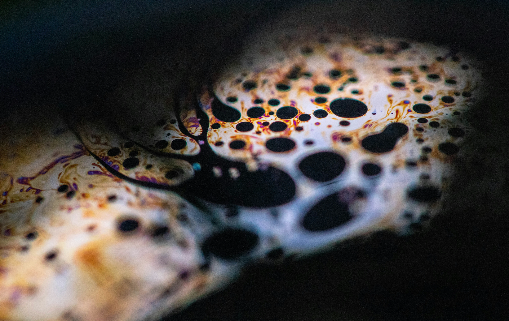 Crude Oil vs. Third Zone: Which Investment Holds Greater Potential?