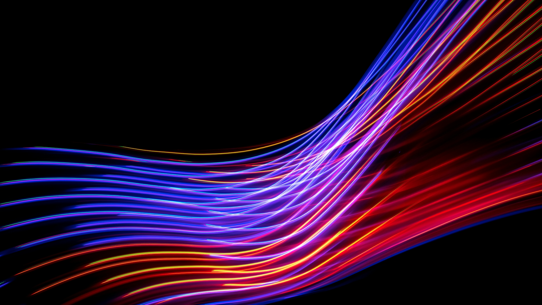 The $800 Billion AI Shockwave: How Oracle Surged Like a Penny Stock