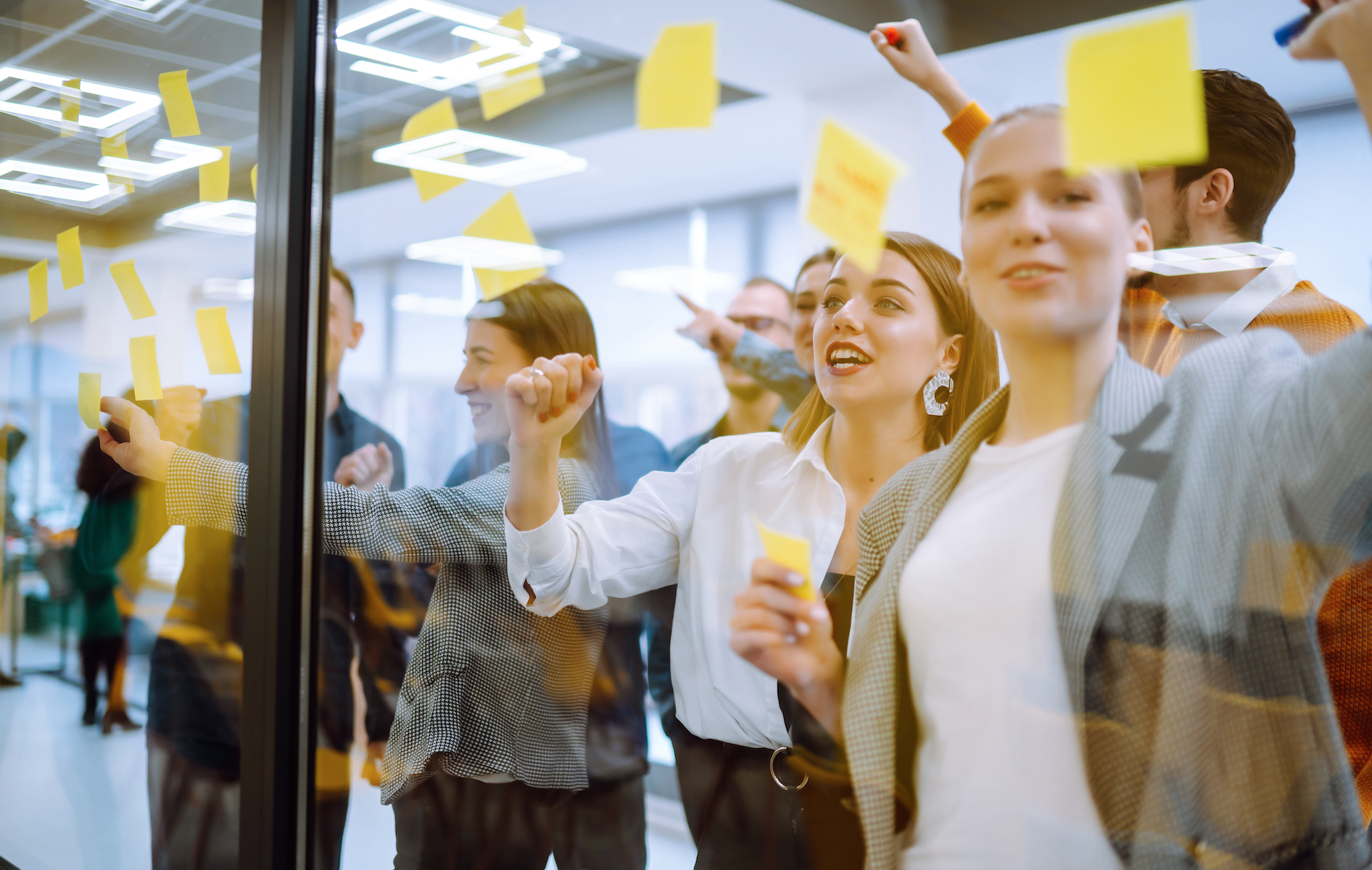 The Fantastic Sales Organization Playbook: What Winners Get Right