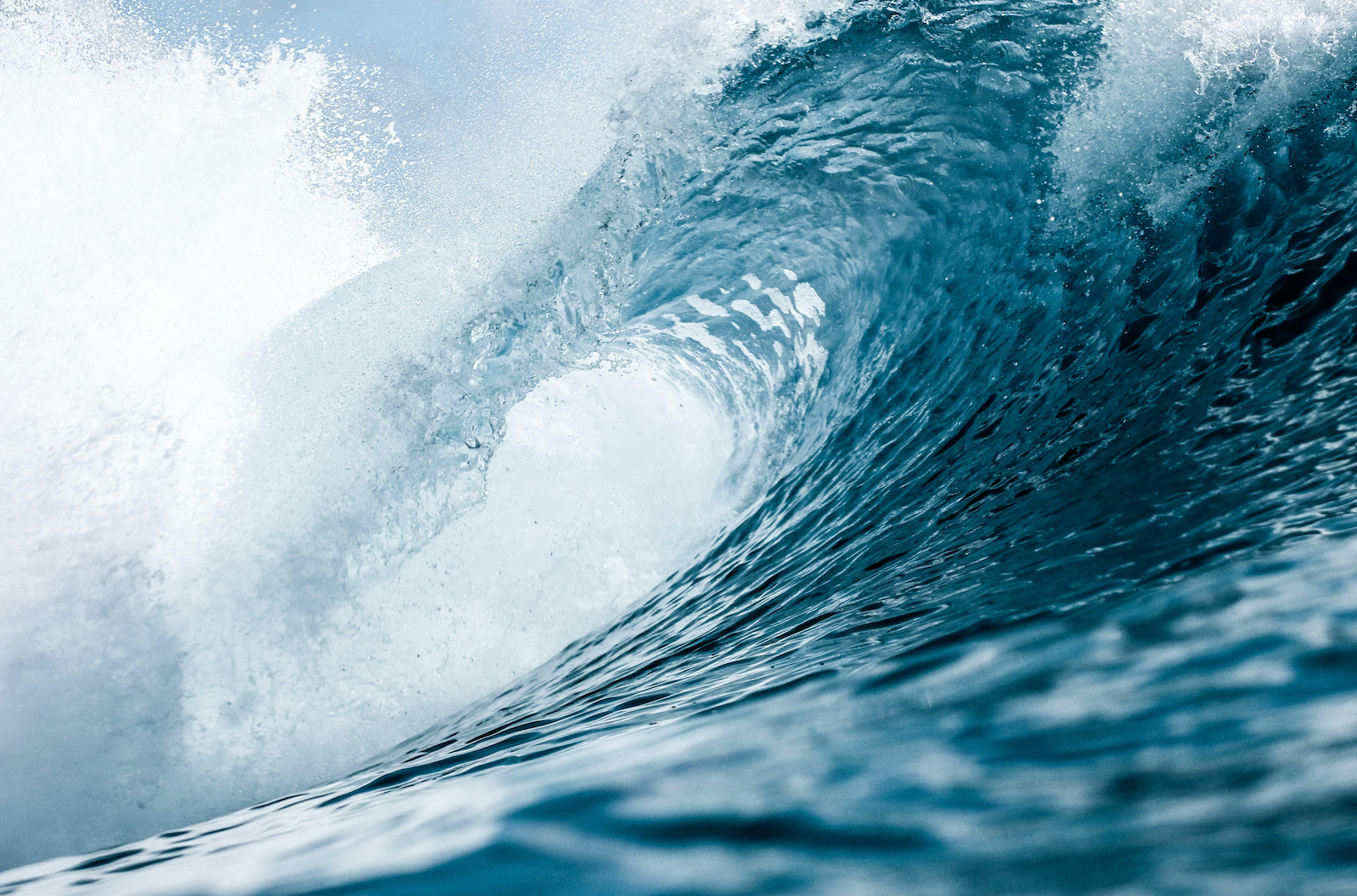 In Uncertain Times, Be the Lifeguard: How To Lead, Adapt, and Stay Afloat in Business Today