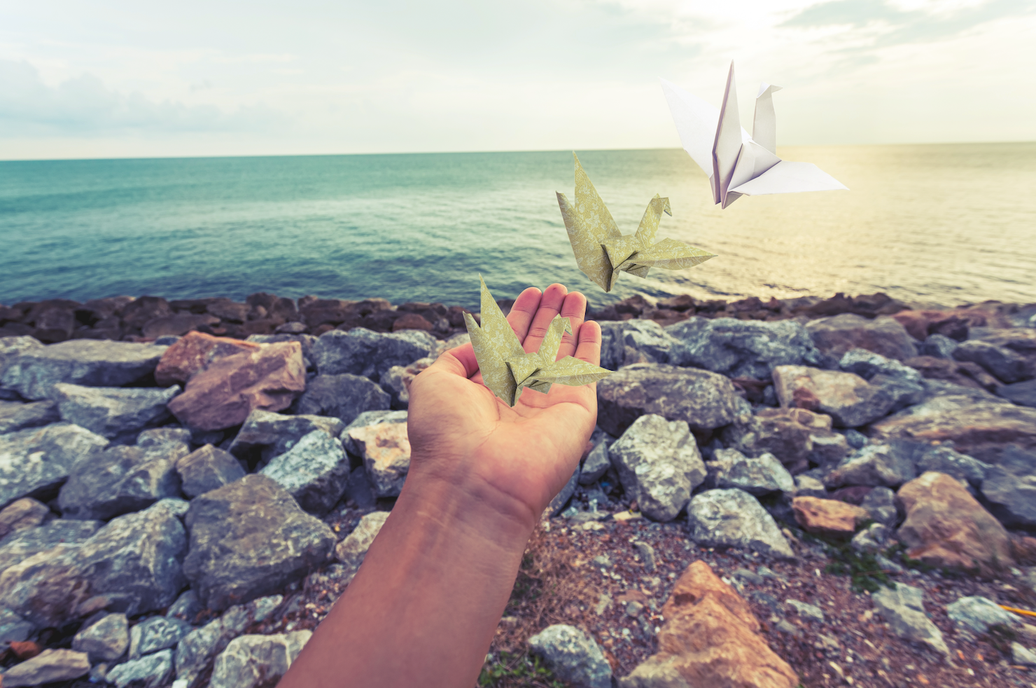 Beyond the Paycheck: How to Find Purpose in Retirement