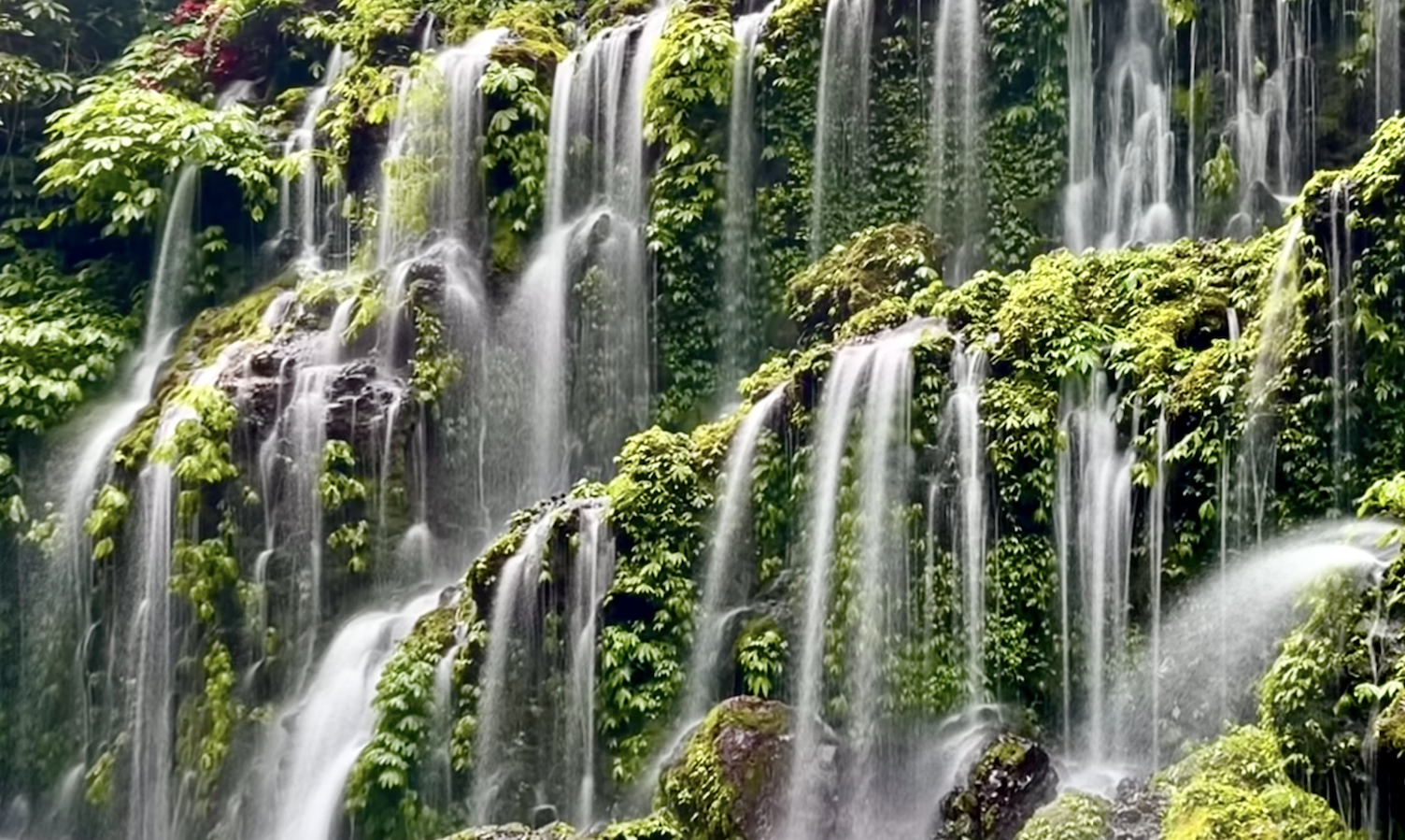 Why Is Our World So Beautiful?