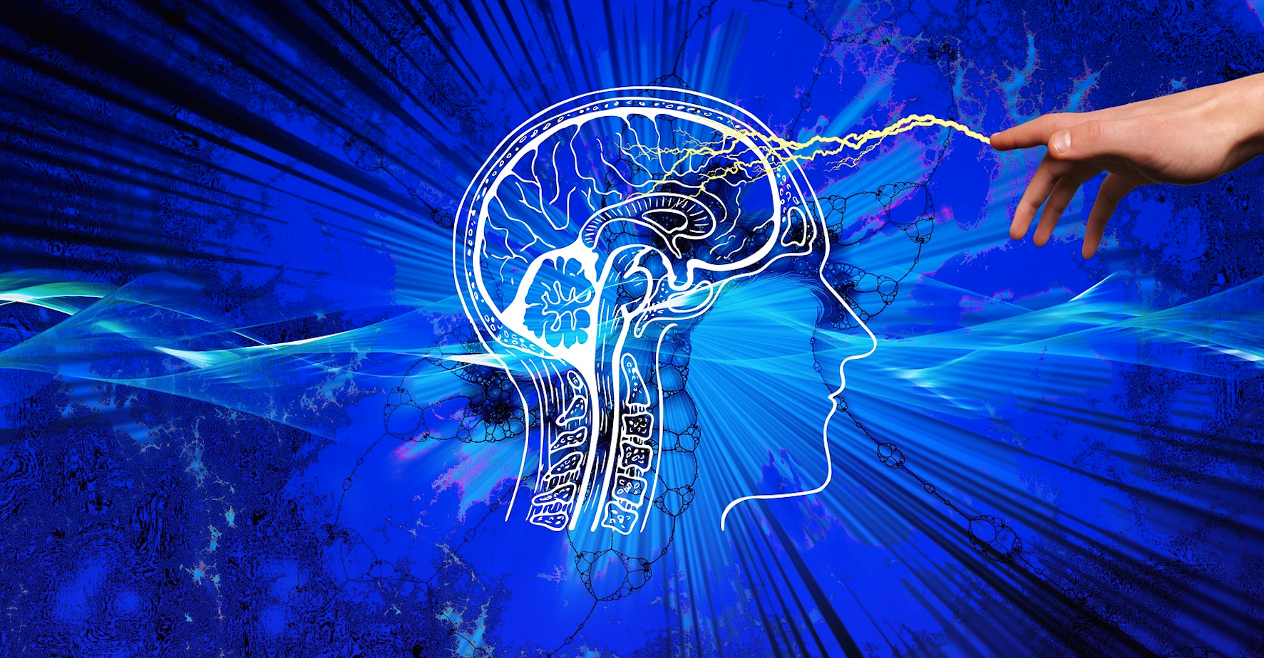 Behavioral Economics: How to Take Control of Your Inner Voice