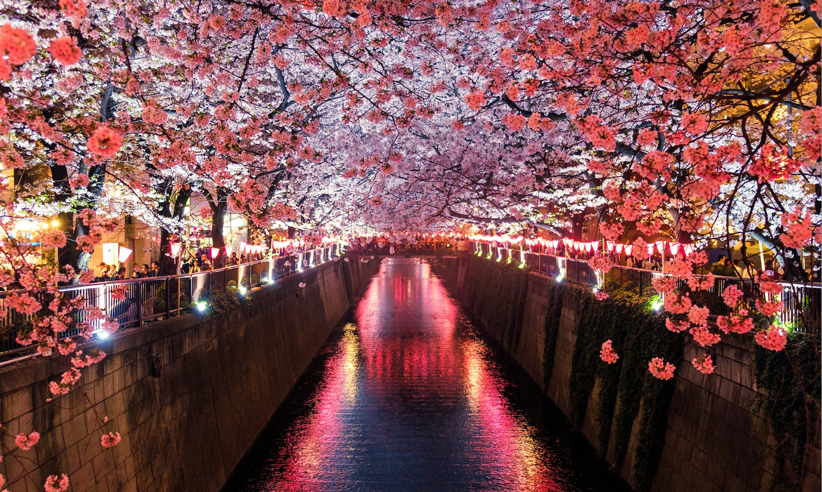 Japan's Lost Decades: Are We on the Same Path