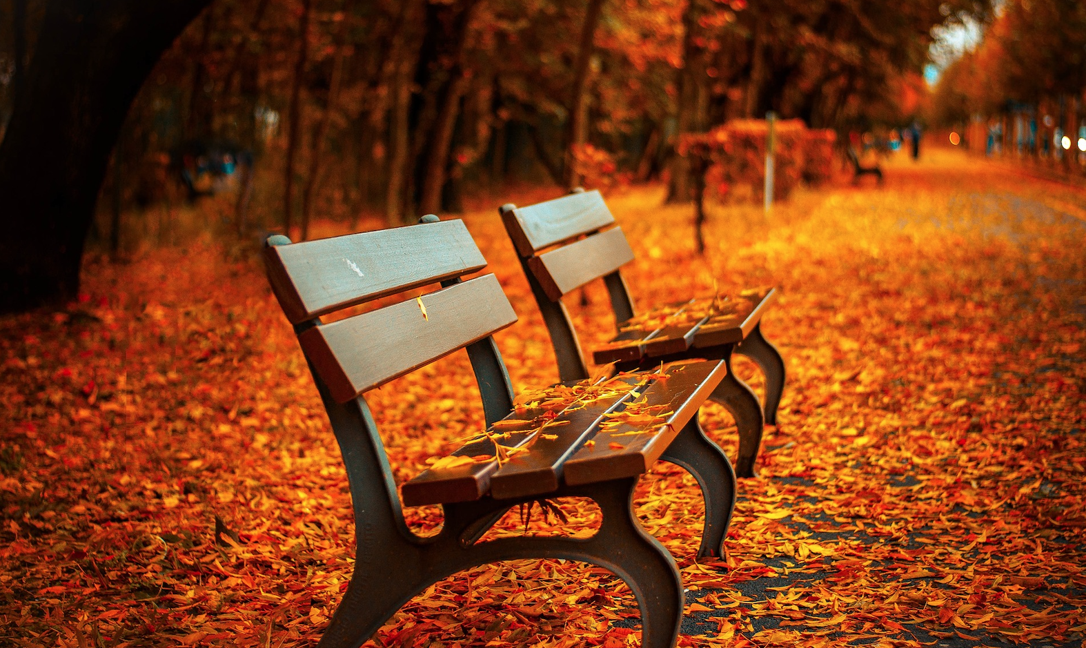 The Role of Seasonality in Buy Signals and Investment Success