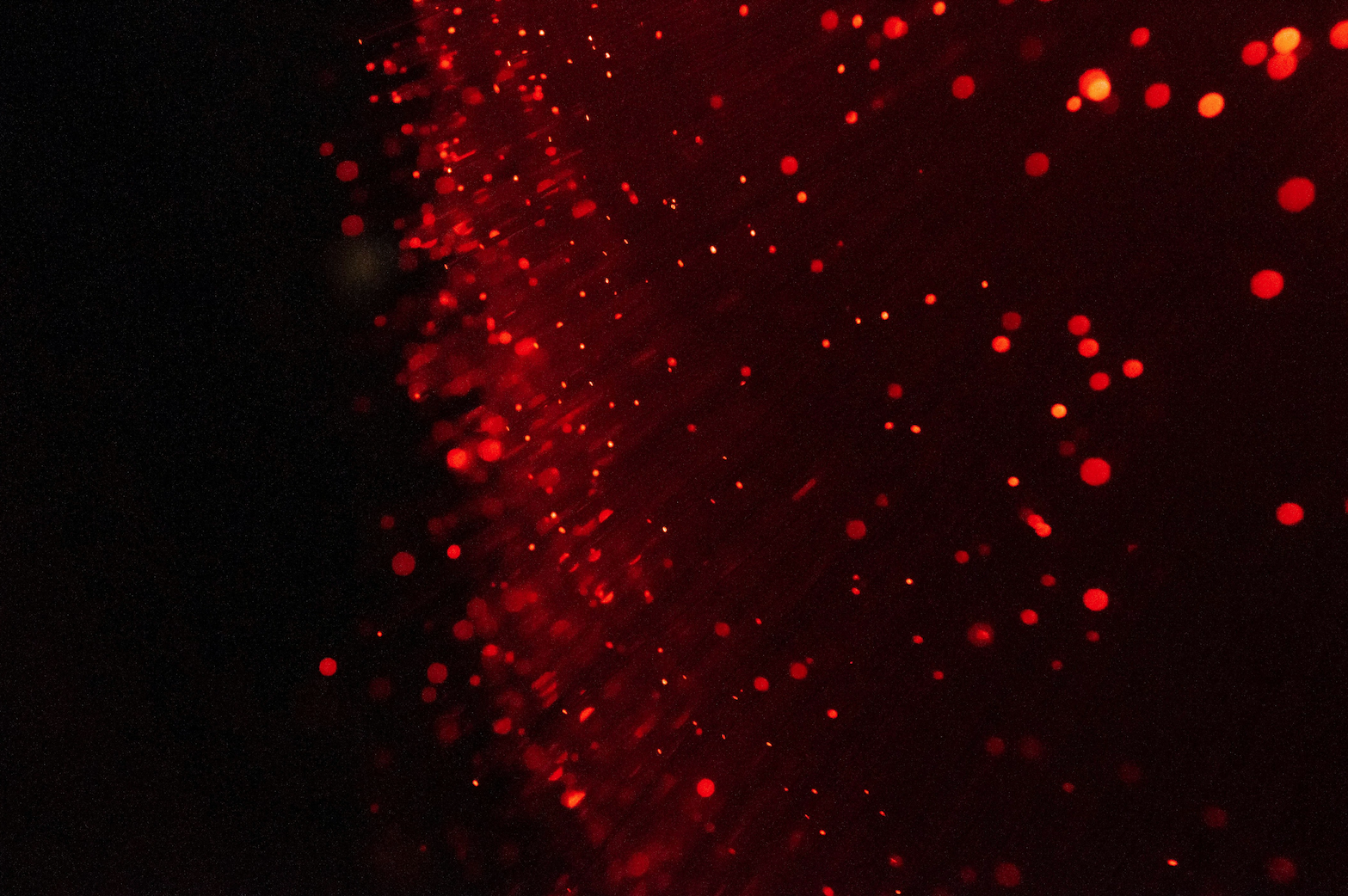 Repo Market Flashing Red—or Signaling the Next Bull Run?