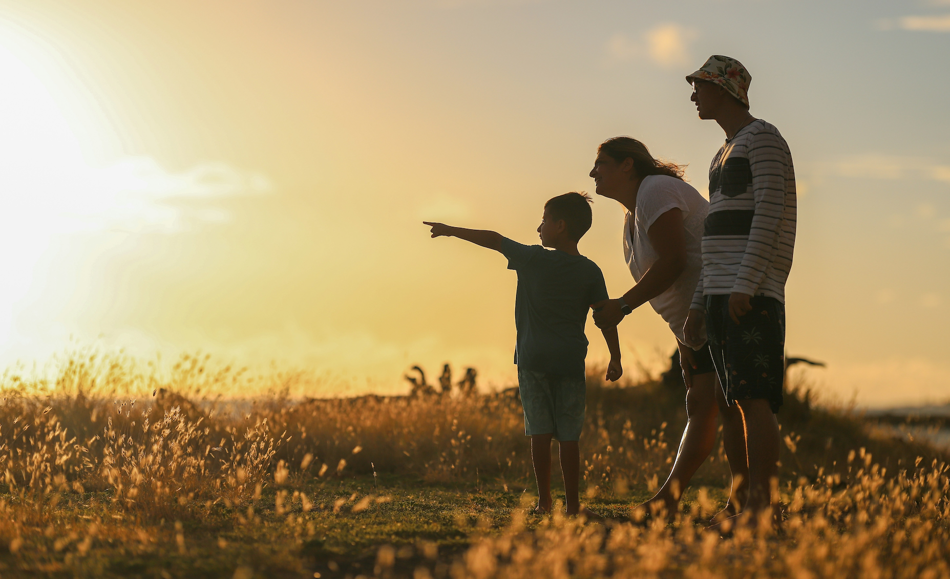 Beyond Investments: How Mercer Advisors Is Bringing Family Office Services to Everyone