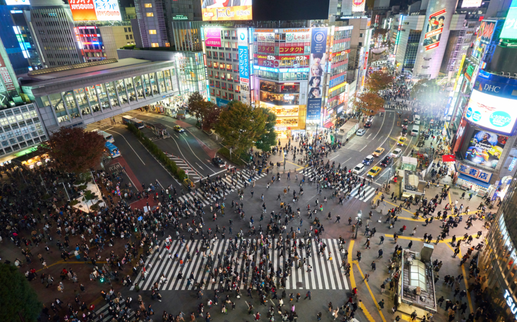 The Rebirth of the Nikkei: Why Investors Are Turning Their Eyes to Japan