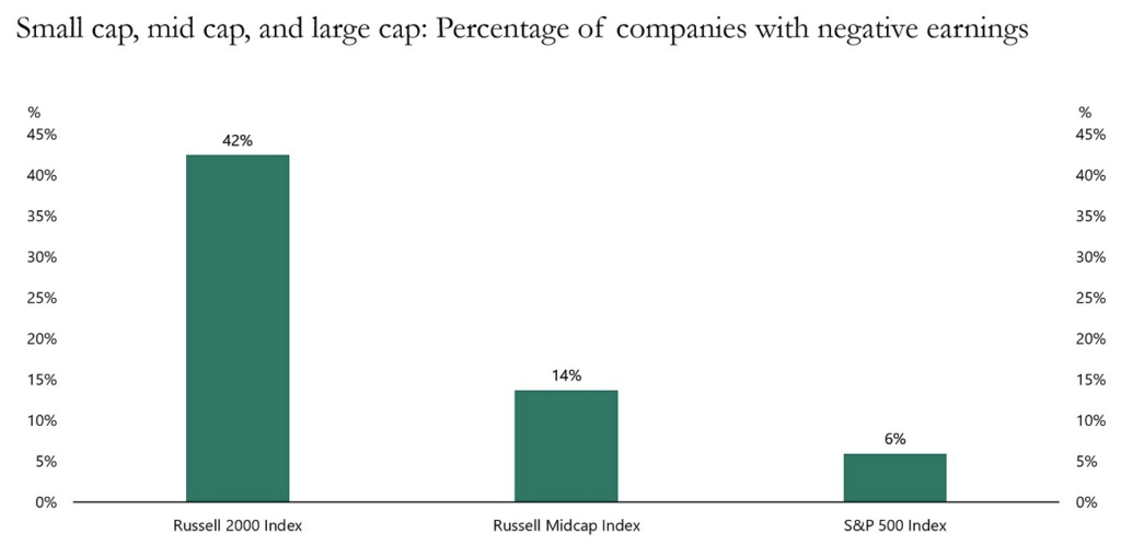Small and Mid Cap Negative Earnings
