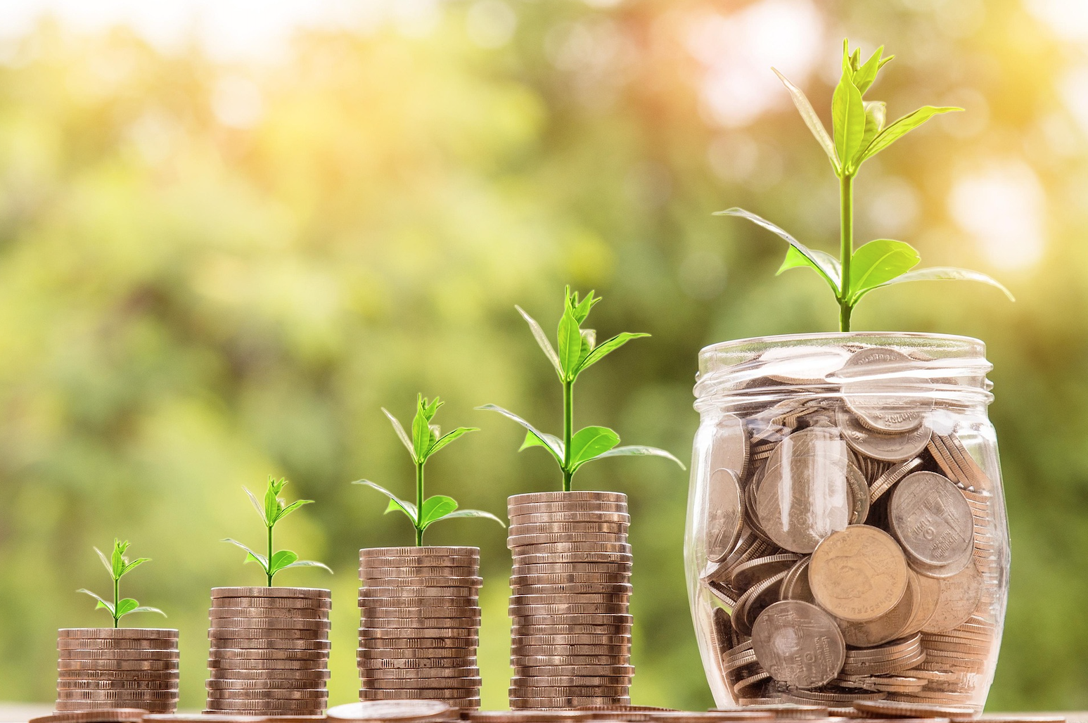 Invest Like a Pro: The Ultimate Guide to Building Generational Wealth