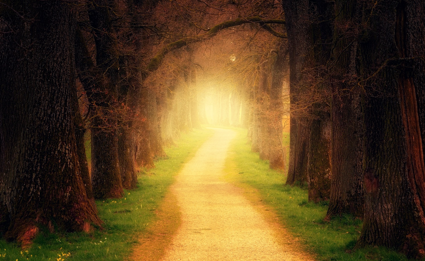 The Well-Trodden Path Rarely Leads to Your Desired Destination