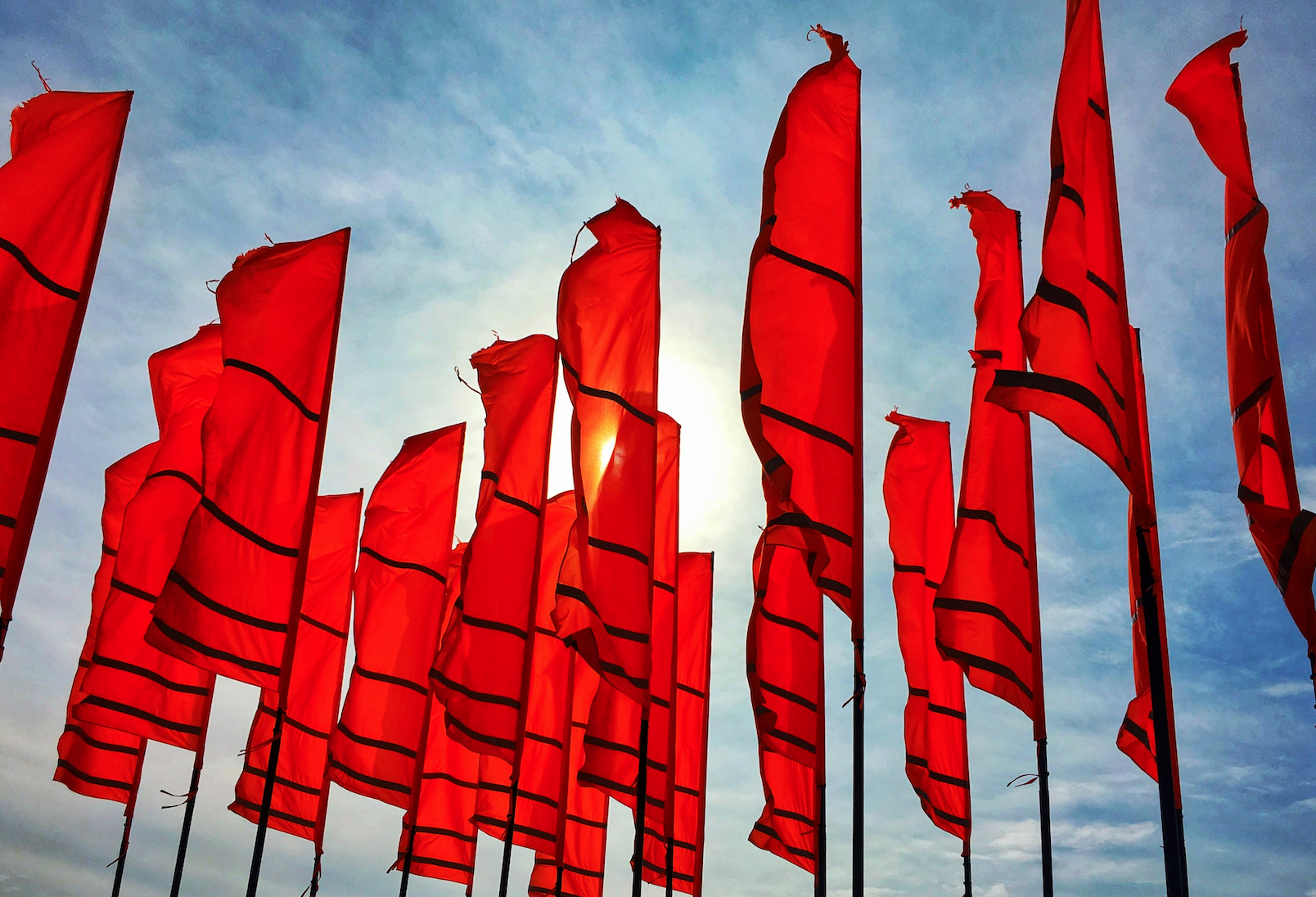 The 5 Red Flags That Expose Fake Disruptors