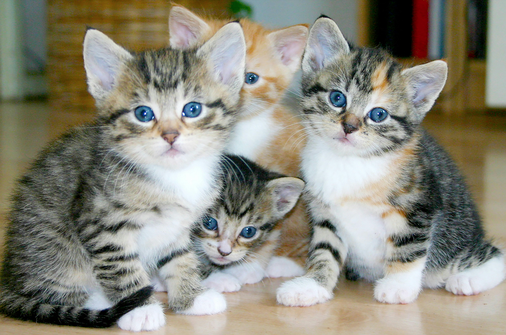 Why “Copycat Innovation” Is a Silent Leadership Trap