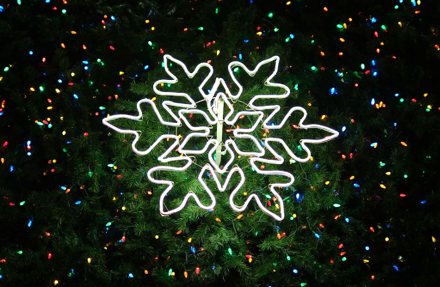 Why the Holidays Are the Best Time To Stop, Reflect, and Reset
