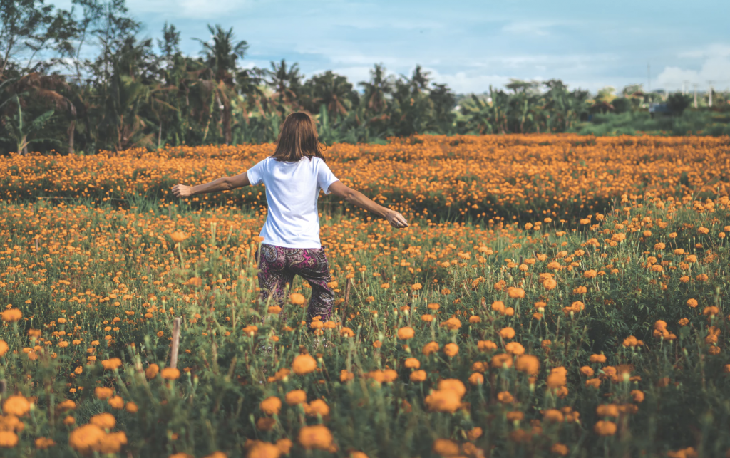 Understanding LIRP: the Life Insurance Retirement Plan