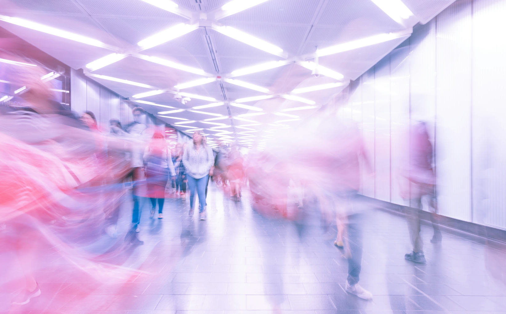 Busting 10 Business Myths That Could Cost You