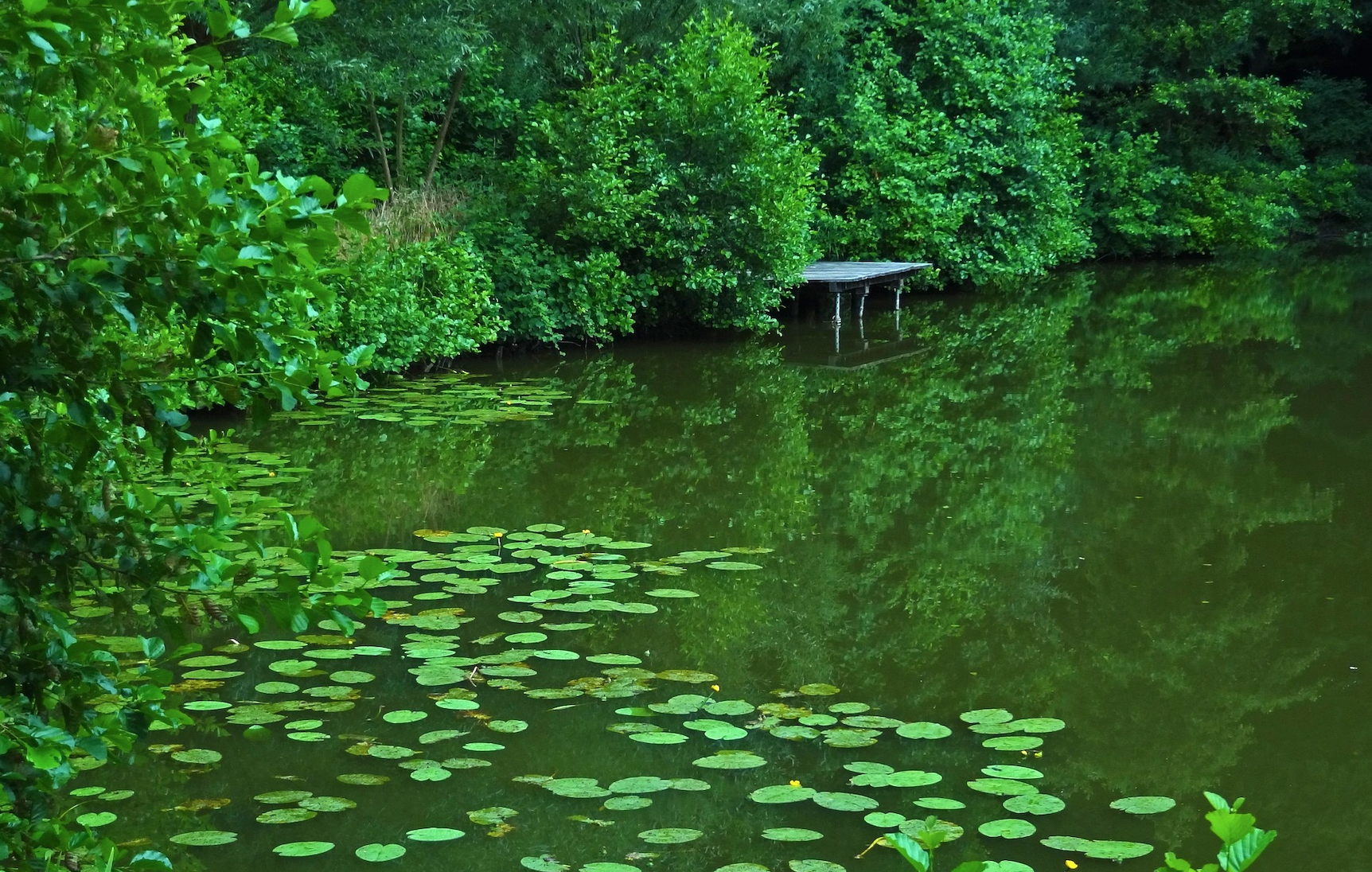 Are You Fishing in the Right Ponds?