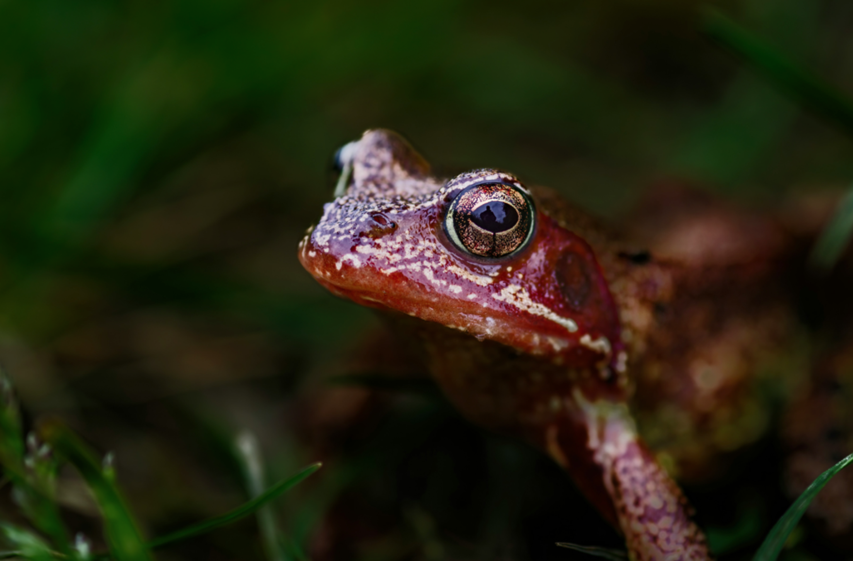 The ESG Factors Investors Actually Care About