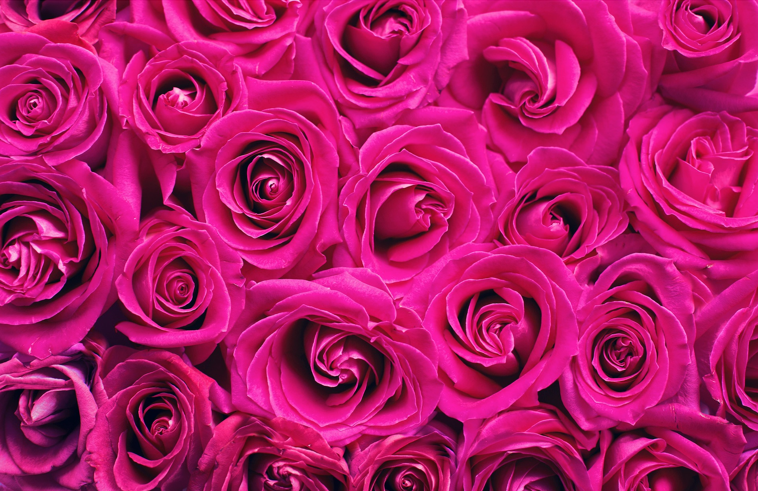 Valentine’s Day a Reminder Money Doesn’t Buy Love