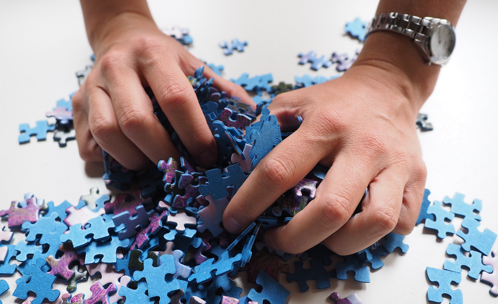 Fitting the Pieces of a Broken Government Together