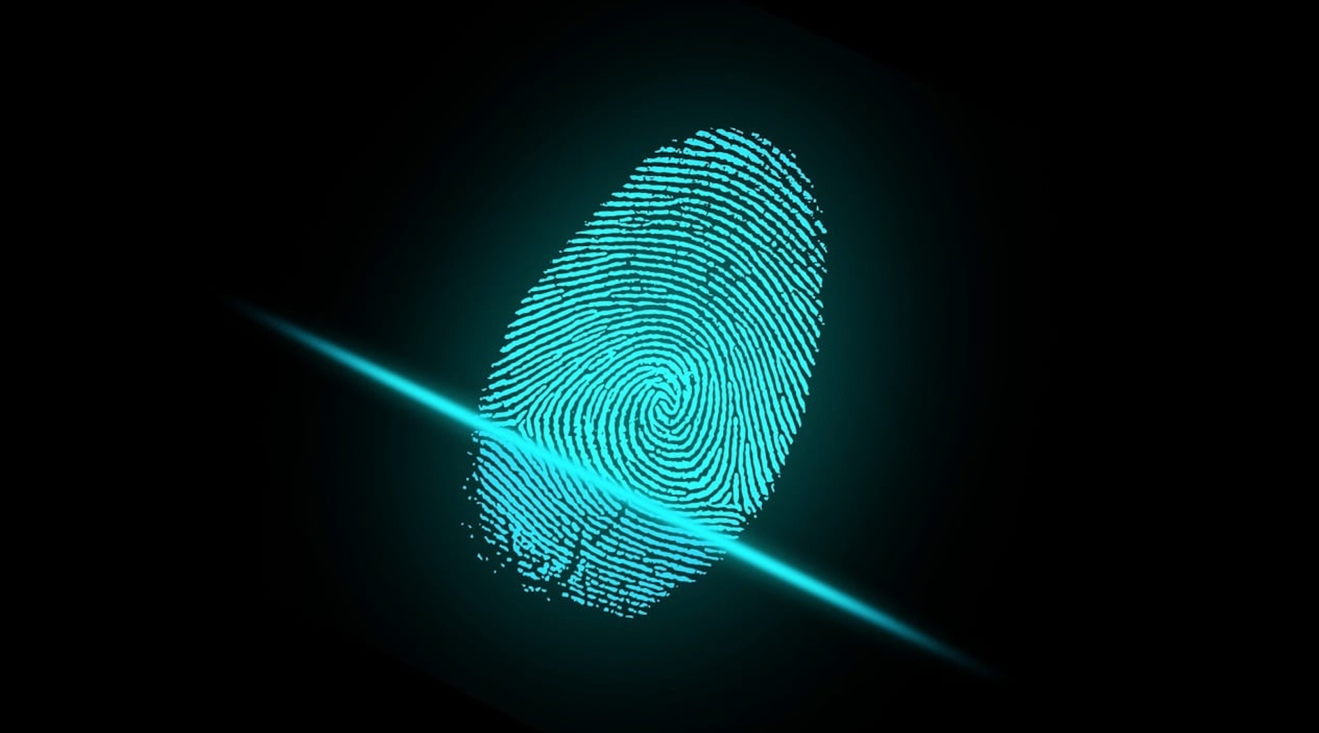 The Rise of Digital Identity as the Next Global Currency