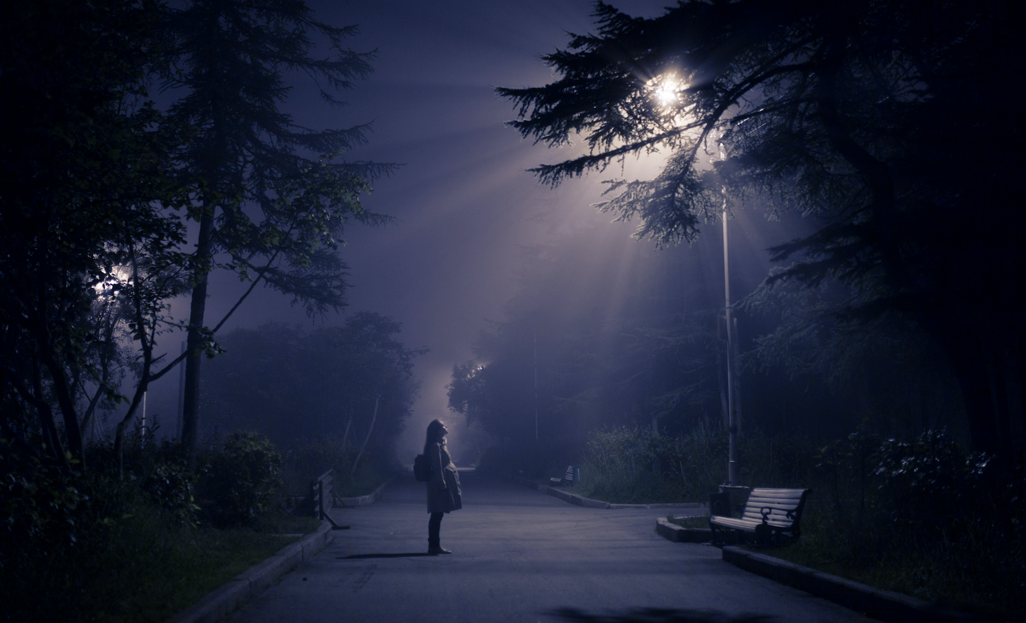 The Streetlight Effect: How Chasing the Visible Is Killing Your Culture and Customer Loyalty