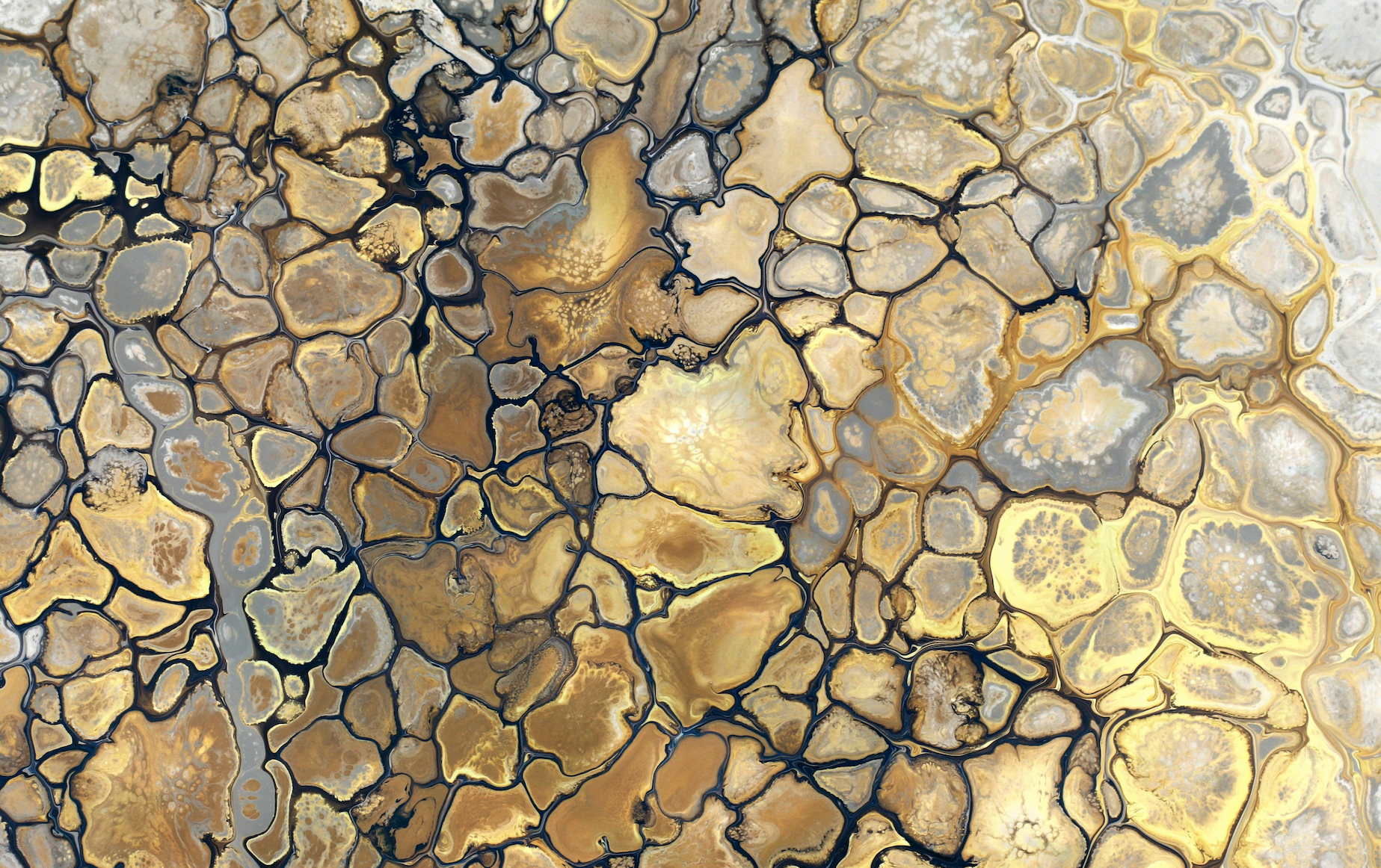 Gold Is Cracking: Why the Breakdown Is Just Beginning