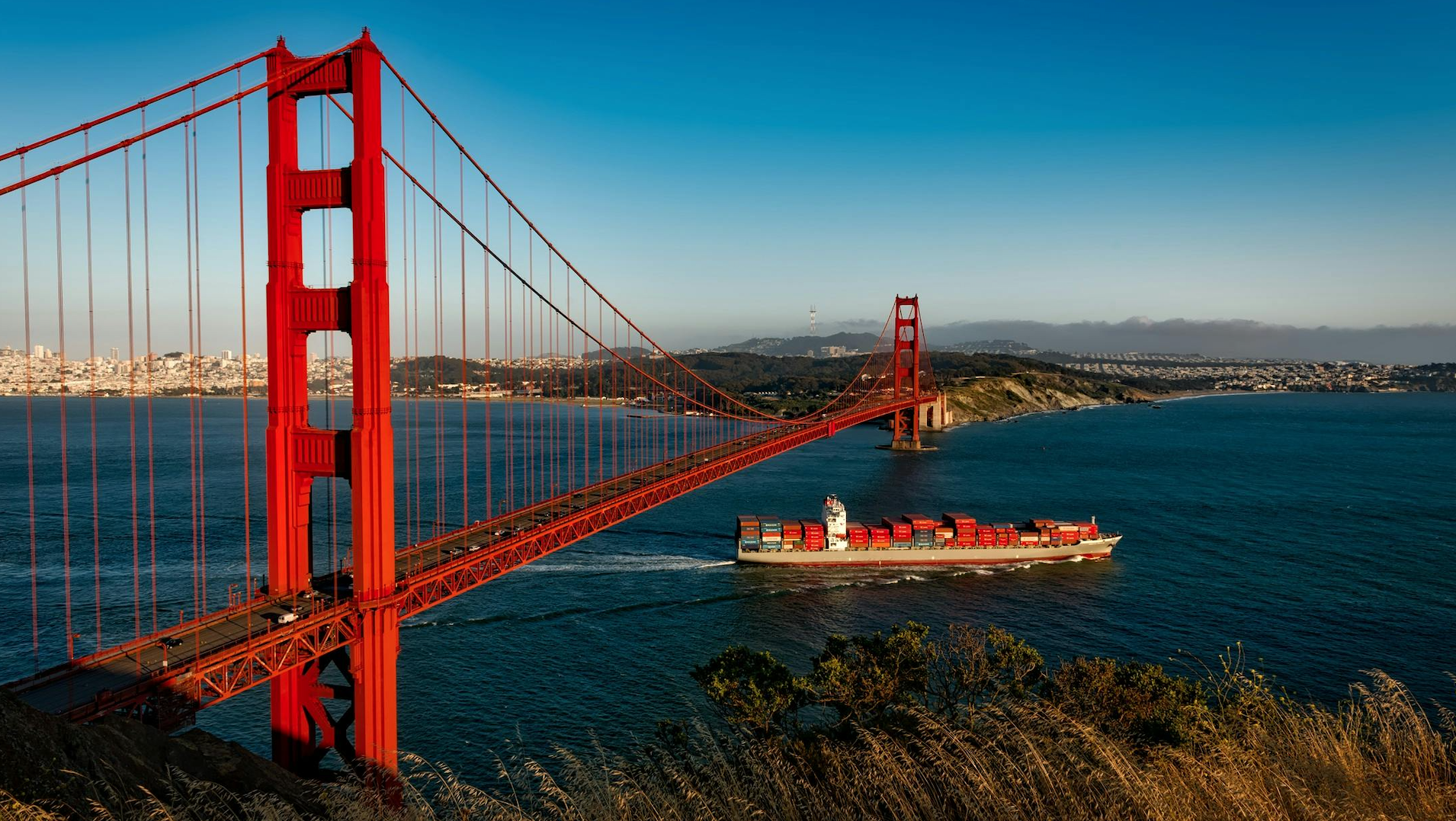 The Market Has Moved on From Tariff Panic—but Should Investors?