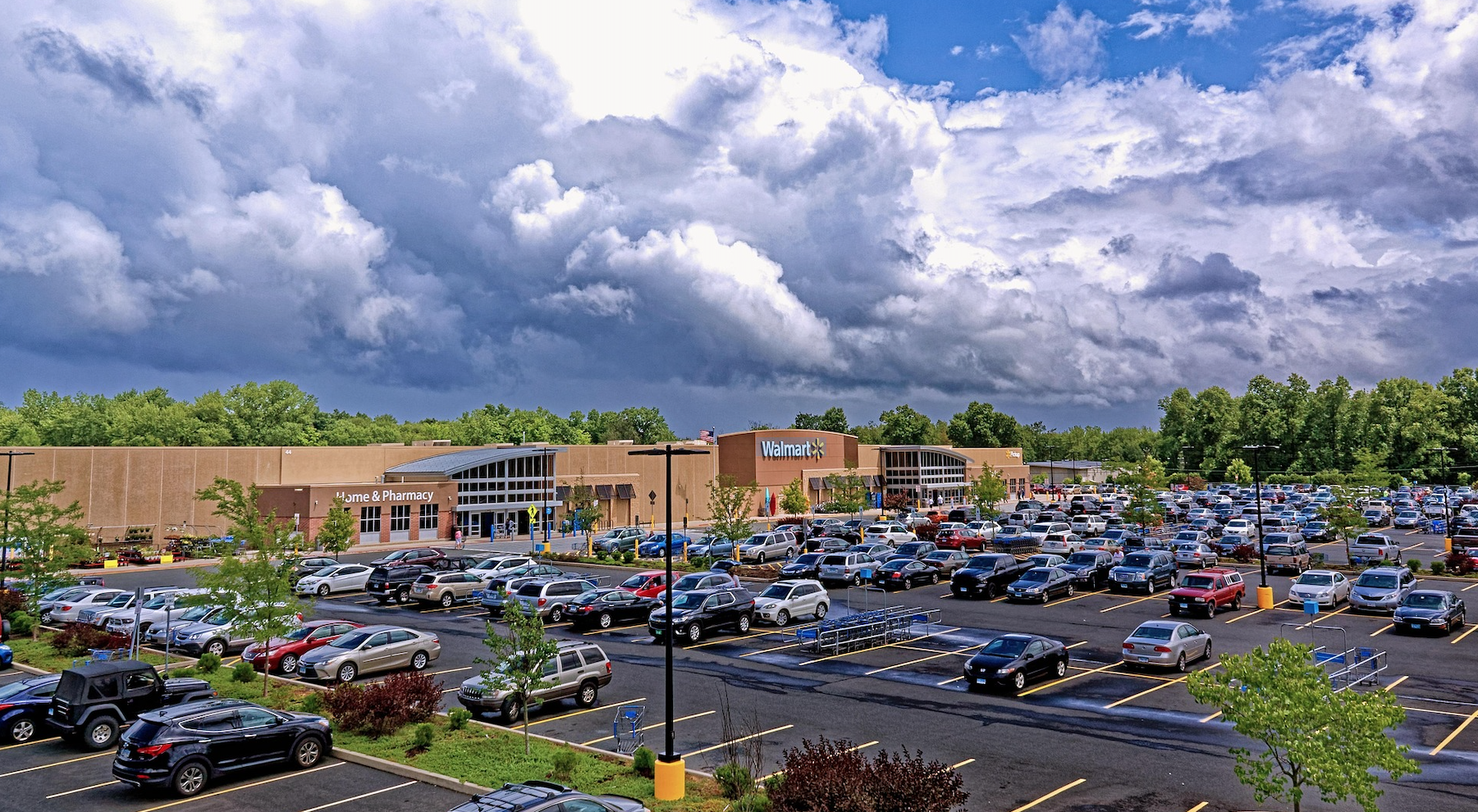 Walmart’s Gloomy Outlook Triggers Market Selloff