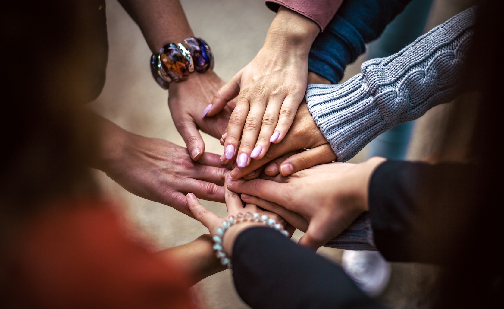 Community vs. Organizational Memory: What Lasts Longer and Why