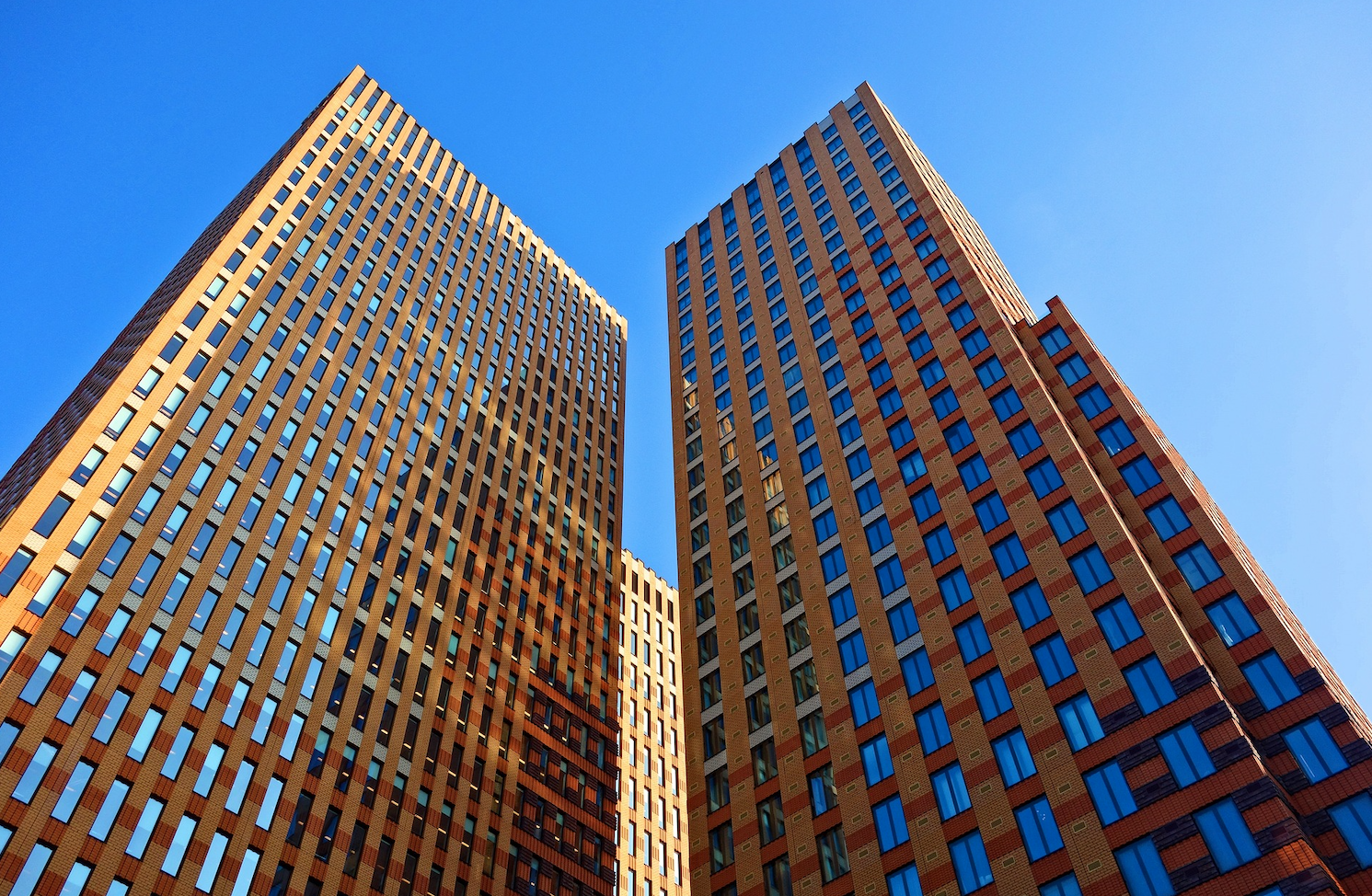 Why Corporate Executives Are Both Bullish and Bearish in 2025