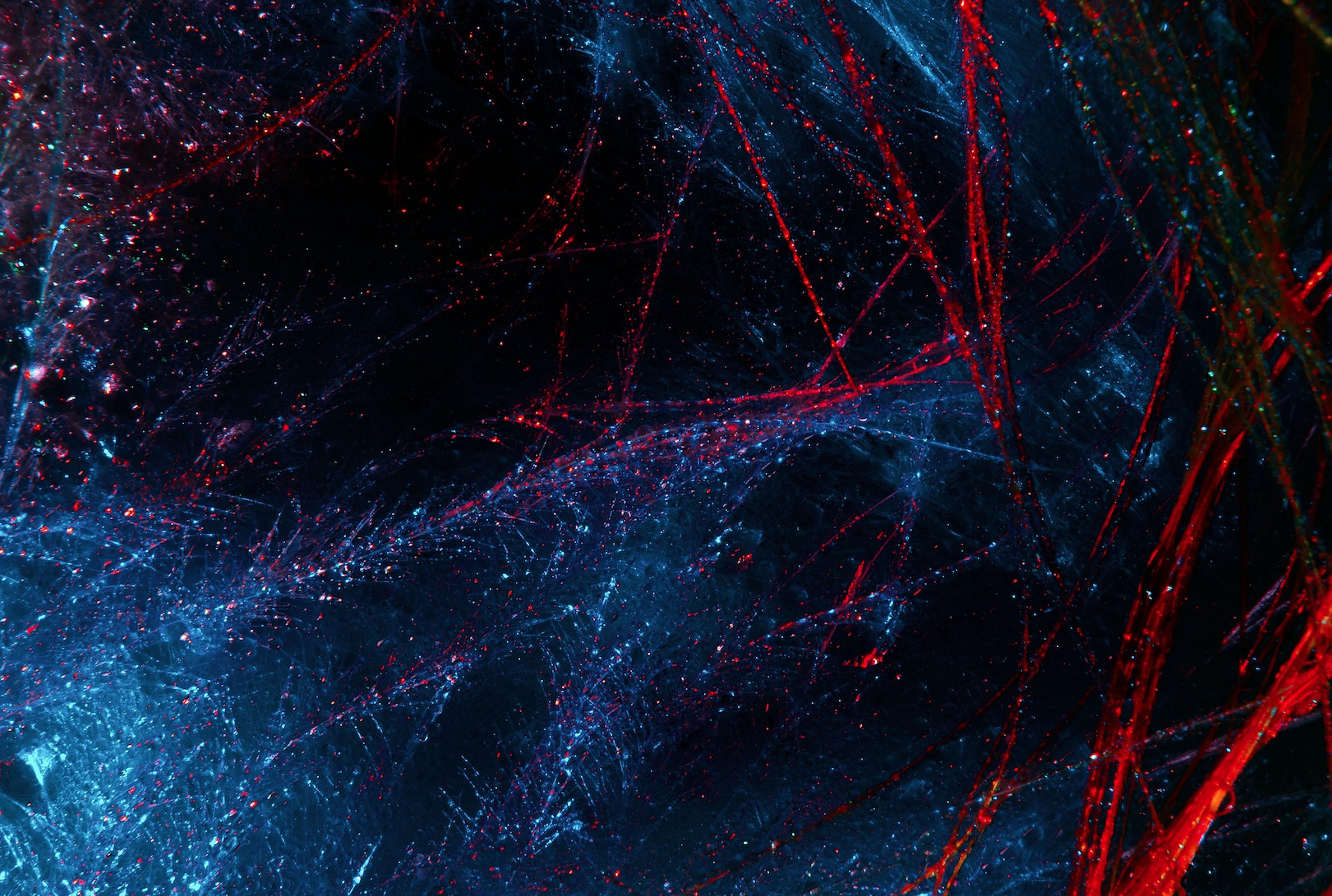 Caveat Emptor in the Age of Clicks: What a Day of Digital Scams Taught Me