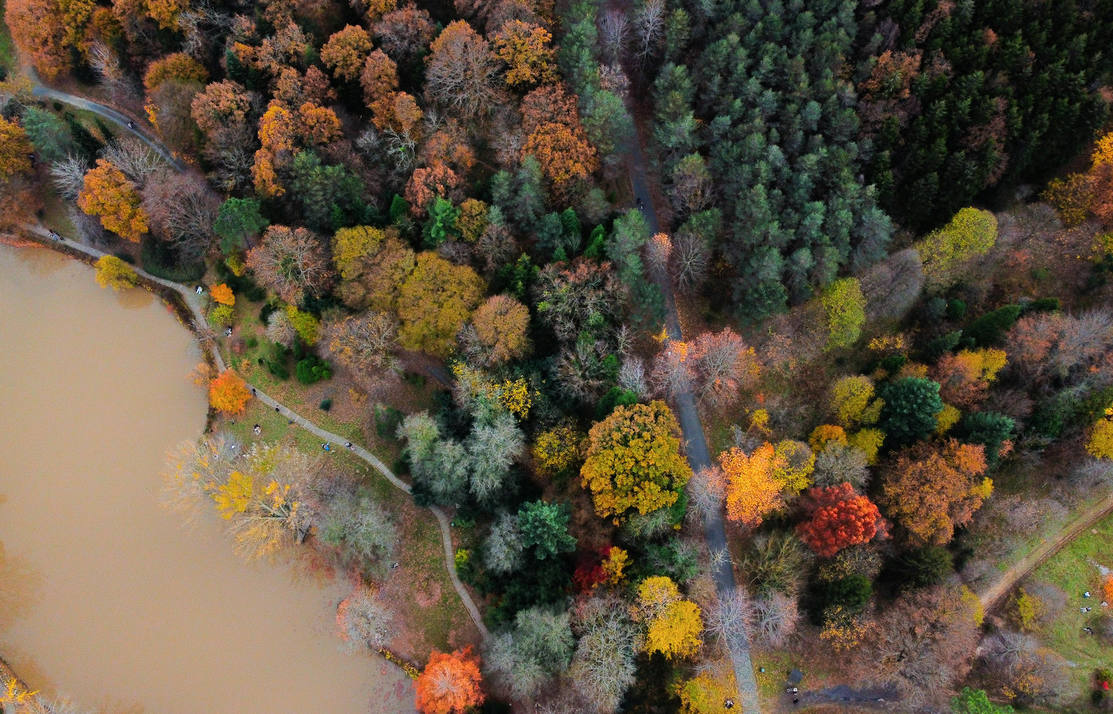 How Seasonal Shifts Impact Financial Advisors