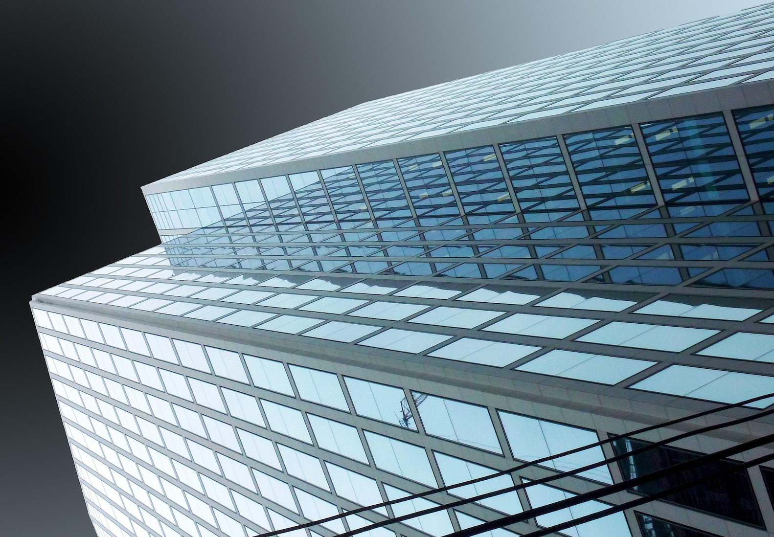 Are Corporate Buybacks a Confidence Signal — or Just Financial Engineering?
