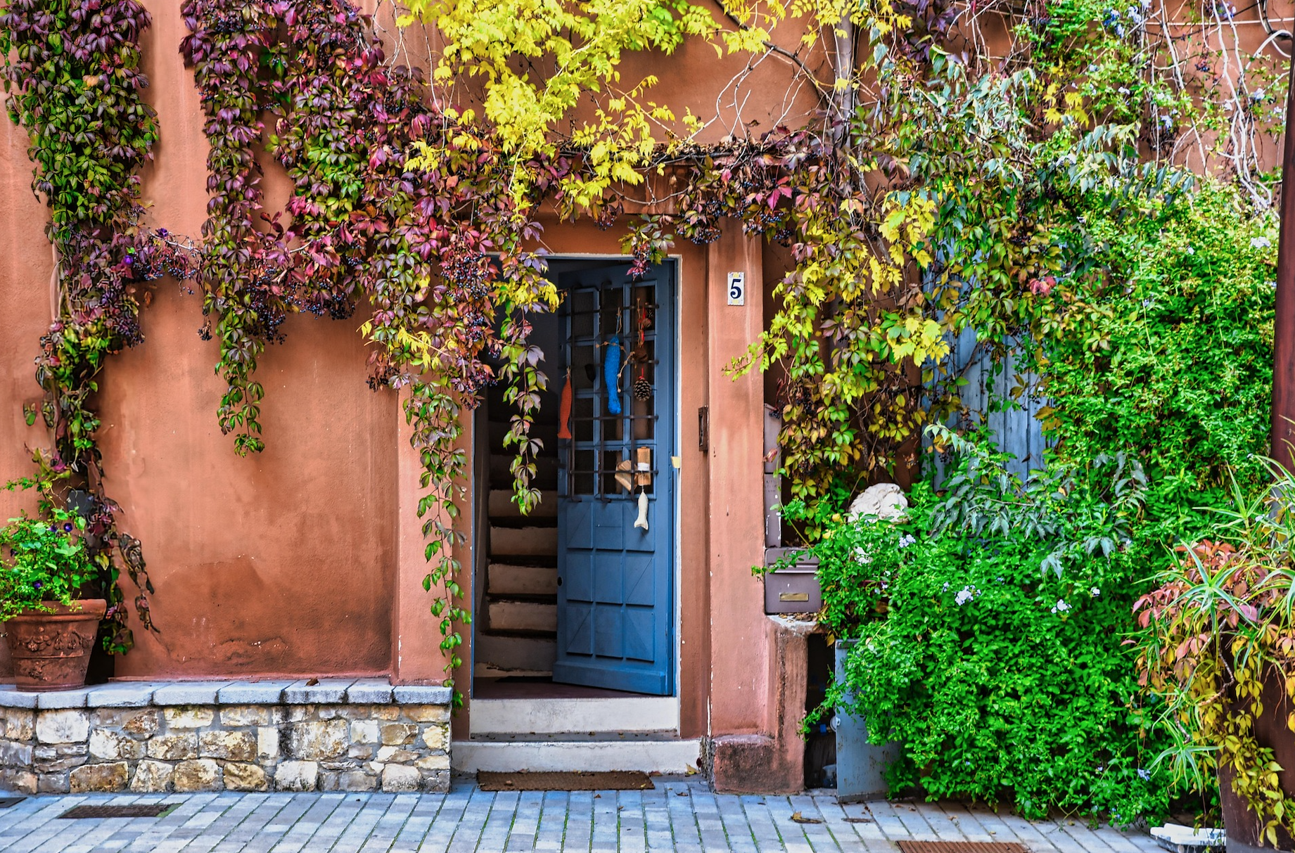 How High Earners Use Backdoor Roth IRAs to Legally Sidestep Income Limits